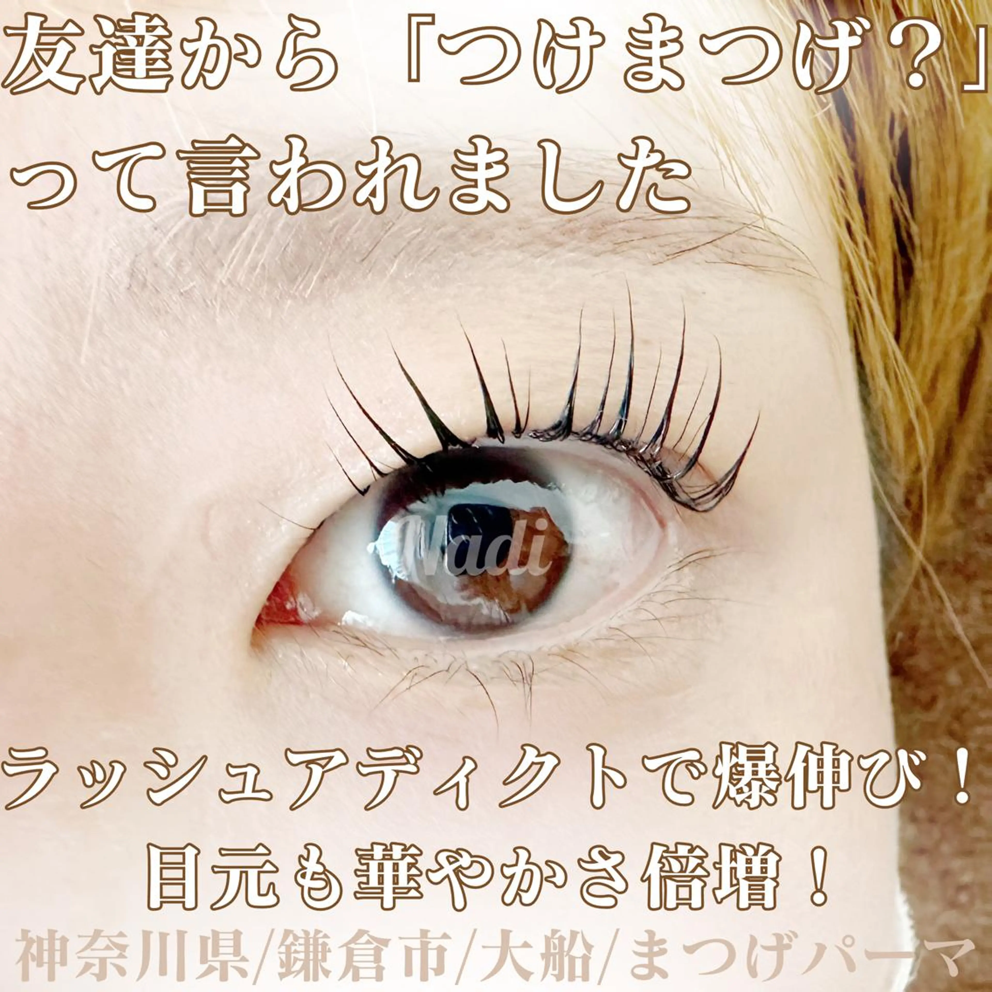 マツエク・マツパ ハーブピーリング専門EMILUCA藤沢所属・EMILUCA藤沢店 /KAEDEのエステ・リラクイメージ
