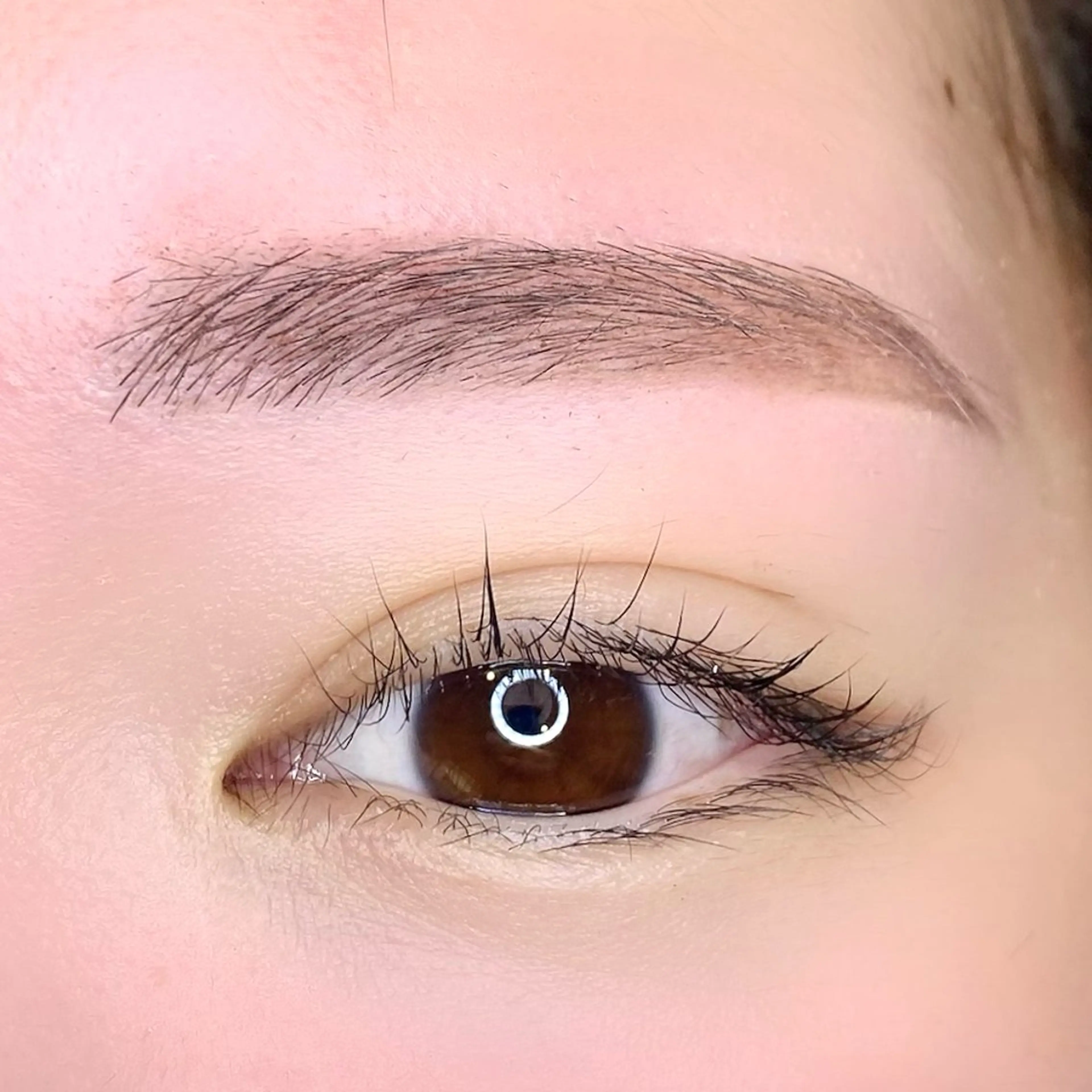 アイブロウ ワックス脱毛 眉カット その他(アイブロウ) ma'am eyesalon 錦糸町店所属・MOMI🍒美眉 スタイリング⭐︎の眉毛・アイブロウイメージ