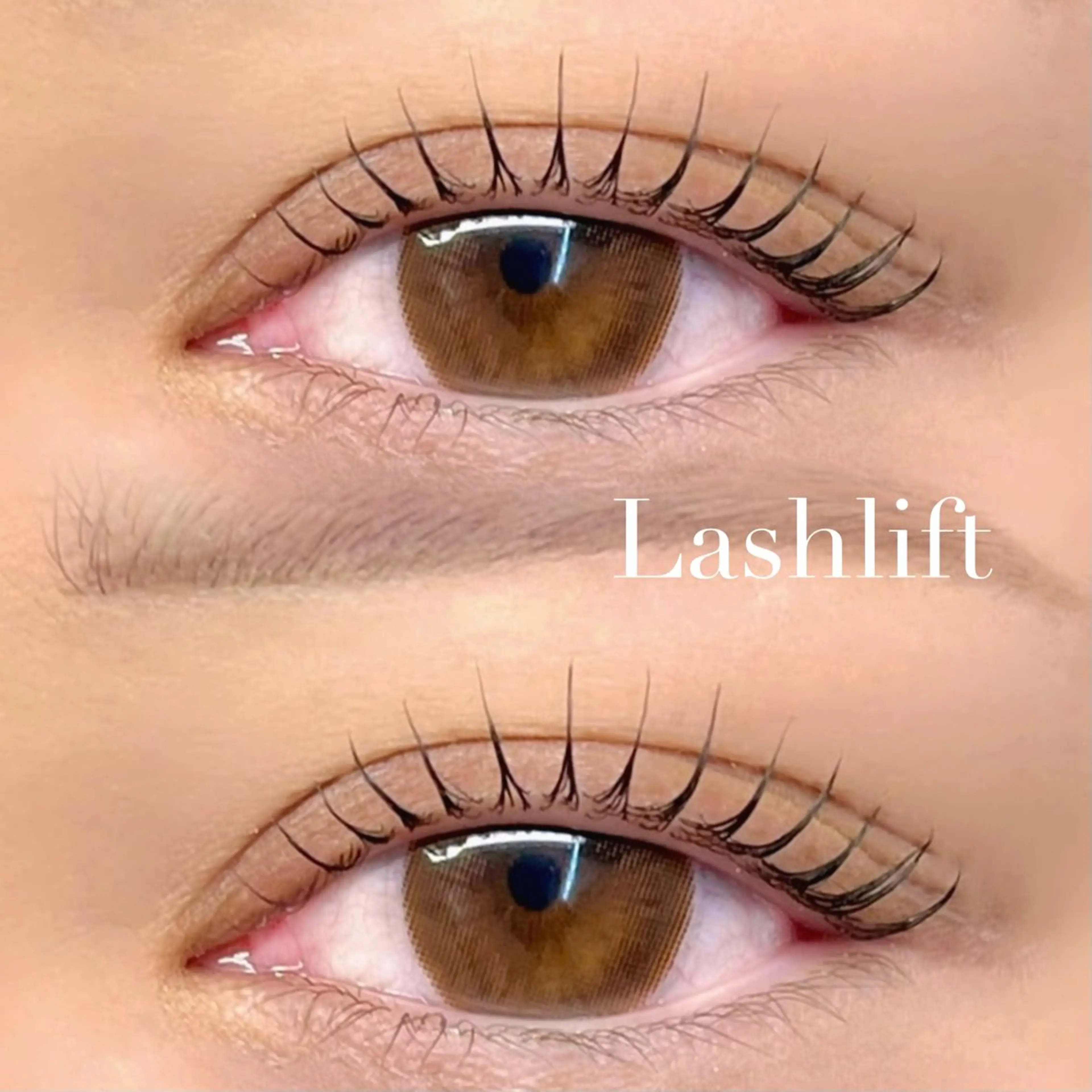 ラッシュリフト <上> 🎀(マスカラティント＋550円)の写真