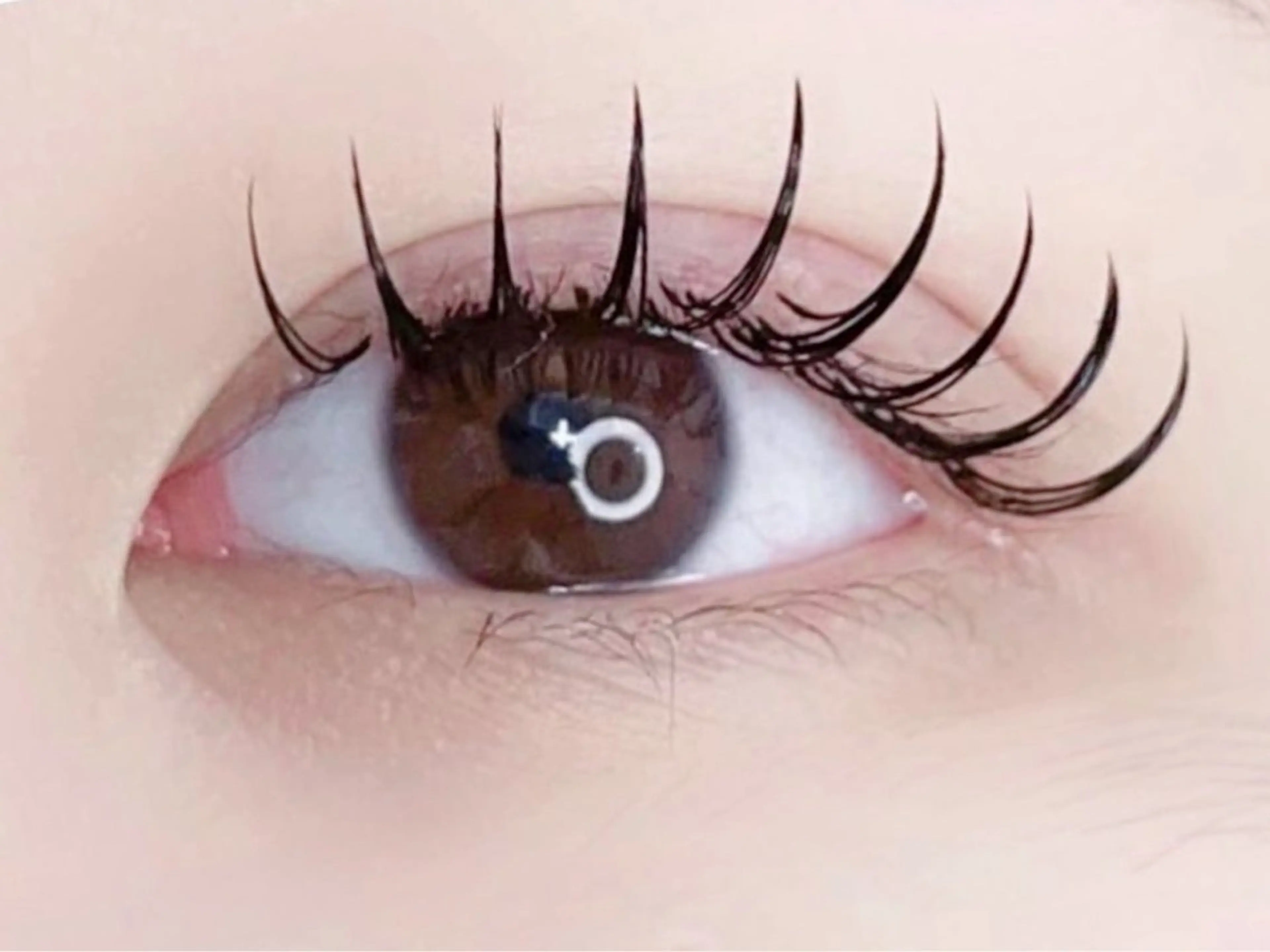 【当日限定💜】LEDフラットラッシュ100本＋コーティング💜【リピーター様＋500円】の写真