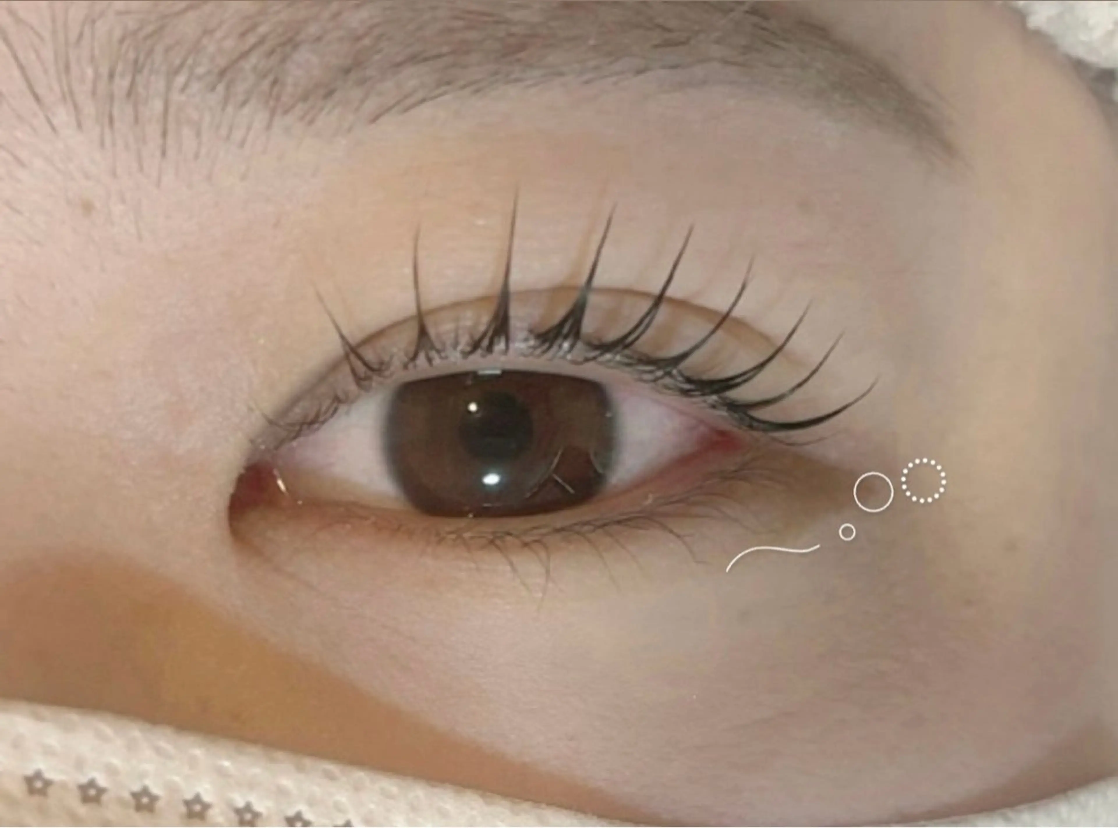 マツエク・マツパ パリジェンヌラッシュリフト マリーテレジア MIURAのマツエク・マツパデザイン