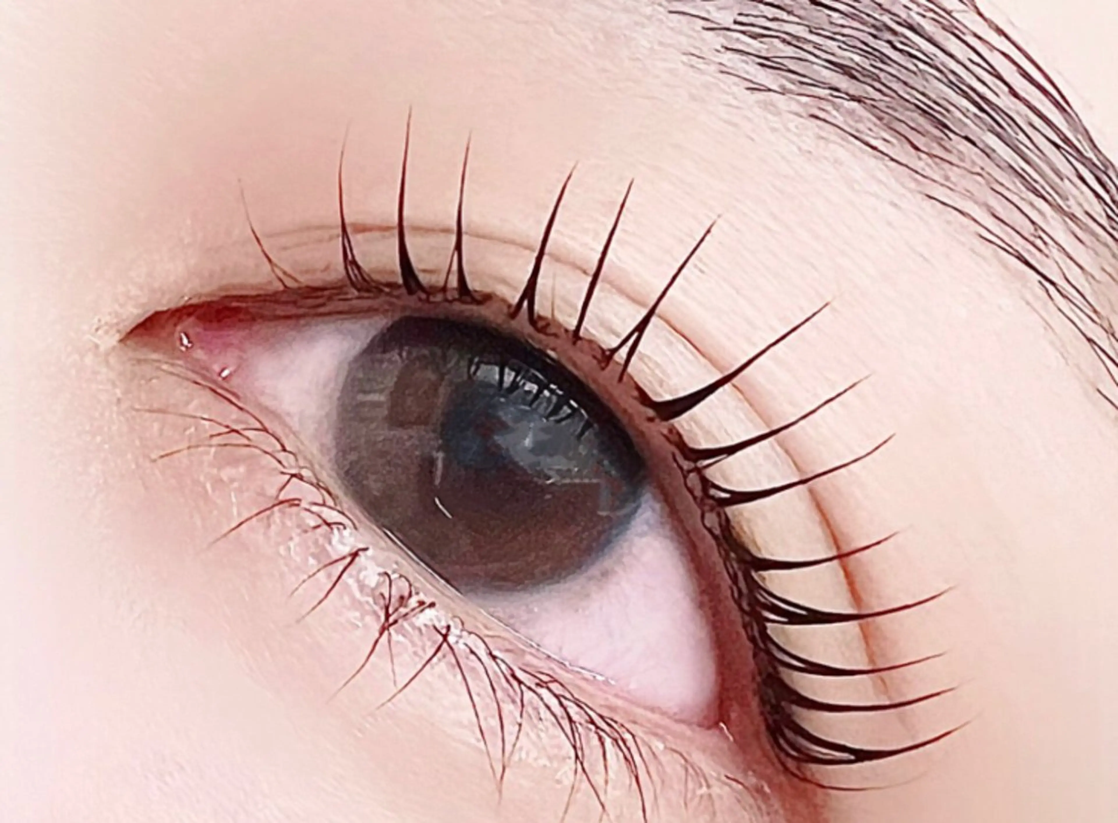 マツエク・マツパ マツパ 🌹ブリランテ🌹 大人気店のマツエク・マツパデザイン