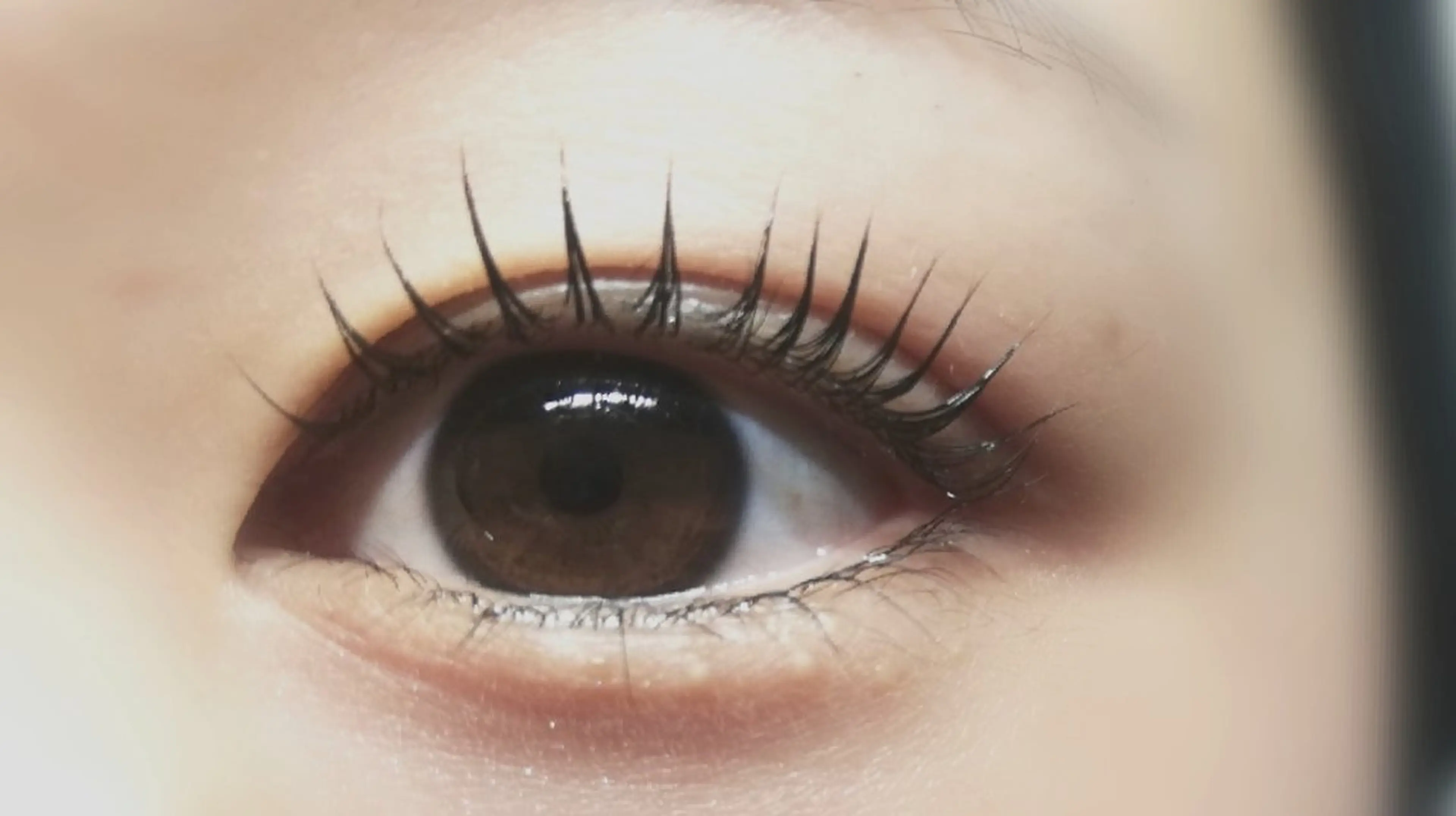 マツエク・マツパ マツパ angelux 所属・💎angelux 💎まつげパーマのマツエク・マツパデザイン