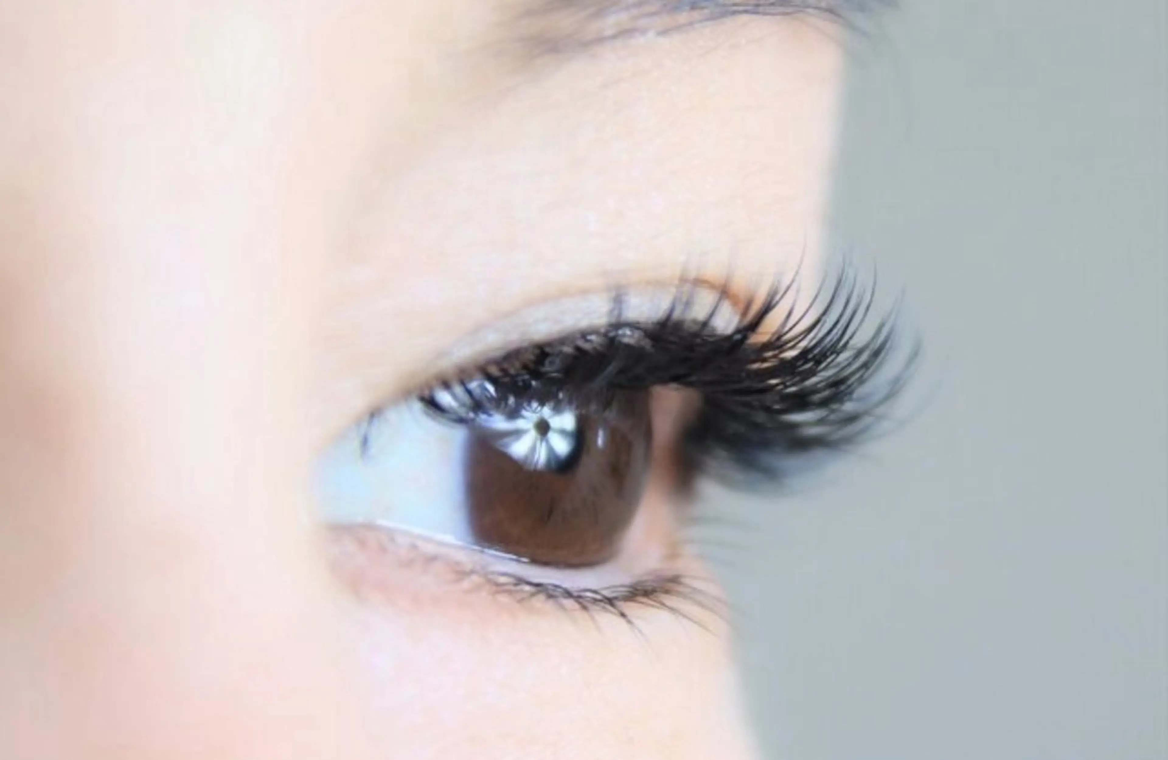 まつ毛エクステ100本(オフ無し)の写真