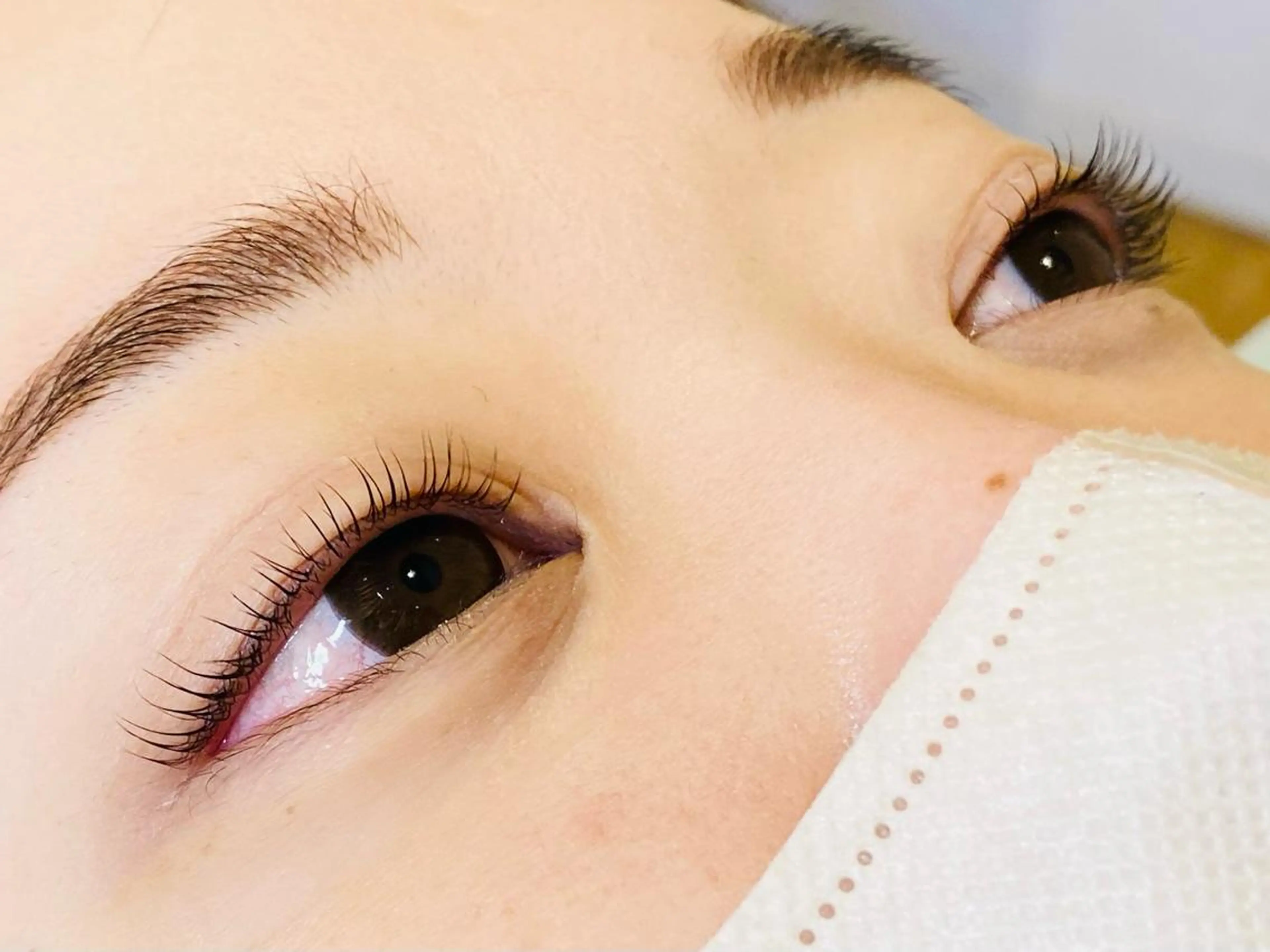 マツエク・マツパ まつげパーマ マツパ Dolce eye lash ねごろのマツエク・マツパデザイン