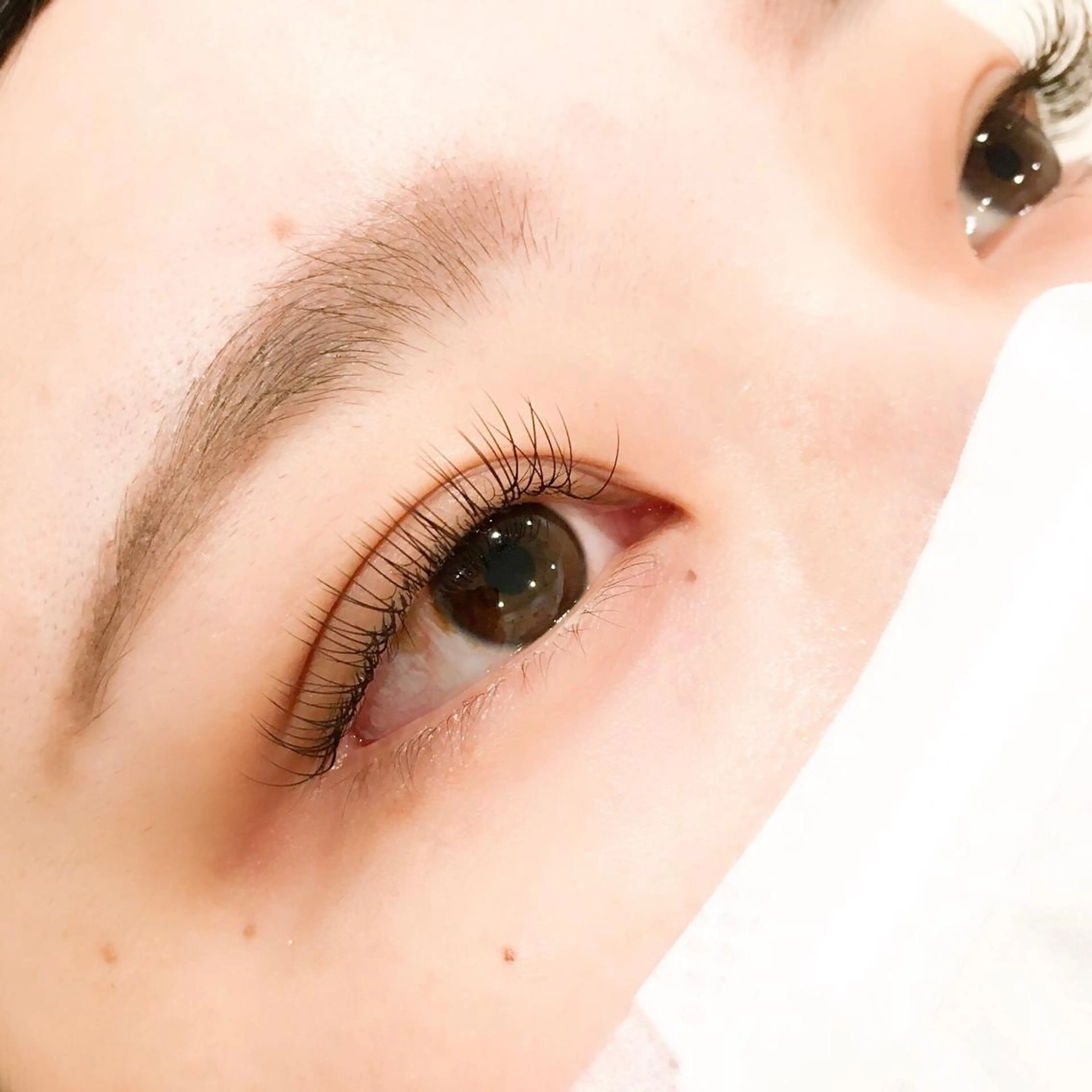 マツエク・マツパ ブラウンラッシュ カラーマツエク レイフィールド北名古屋所属・レイフィールド 服部のマツエク・マツパデザイン