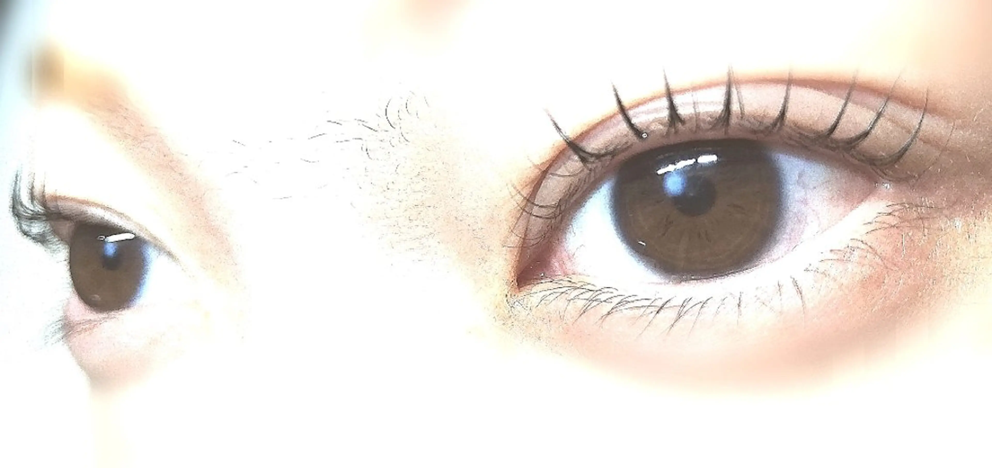 マツエク・マツパ マツパ angelux 所属・💎angelux 💎まつげパーマのマツエク・マツパデザイン