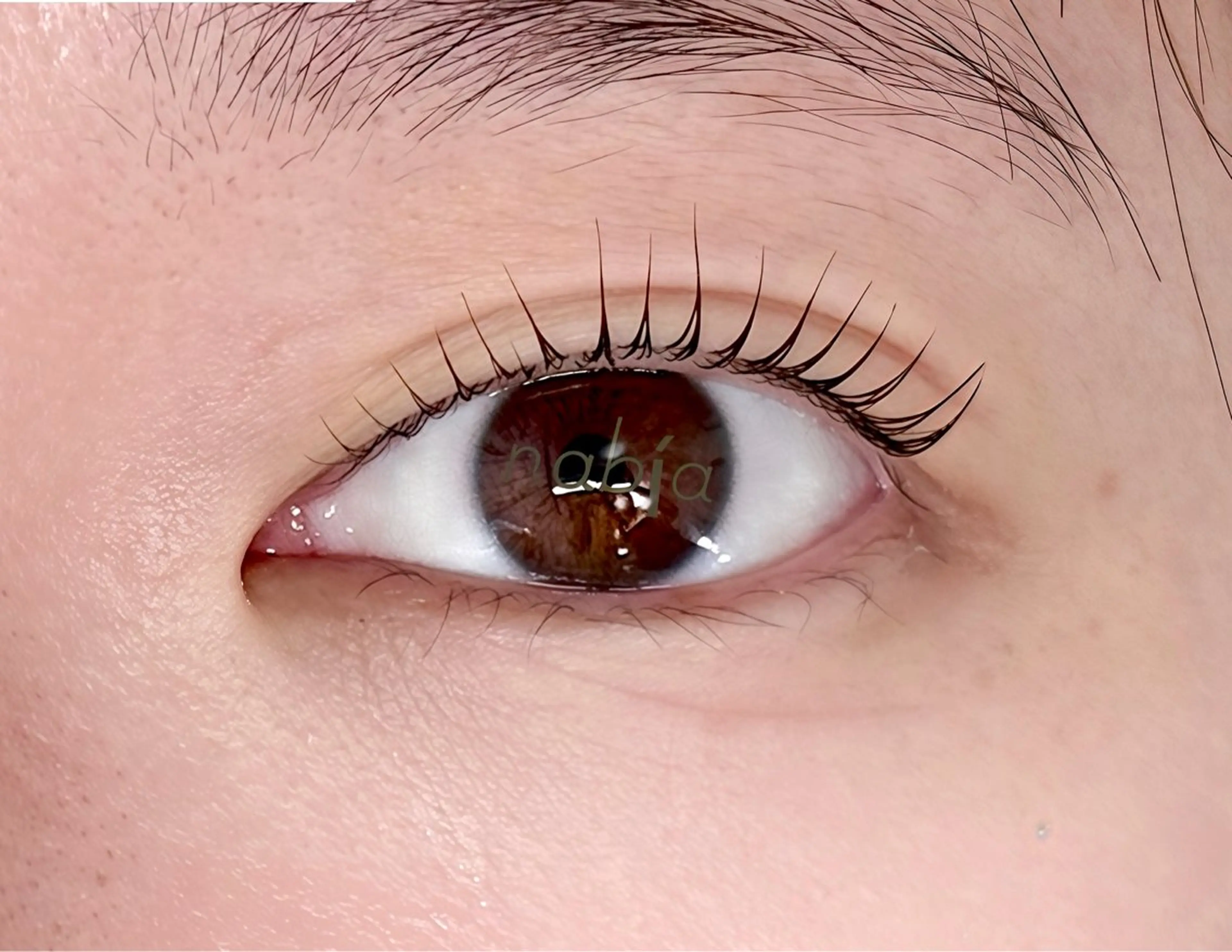 マツエク・マツパ nabía 上石神井のマツエク・マツパデザイン