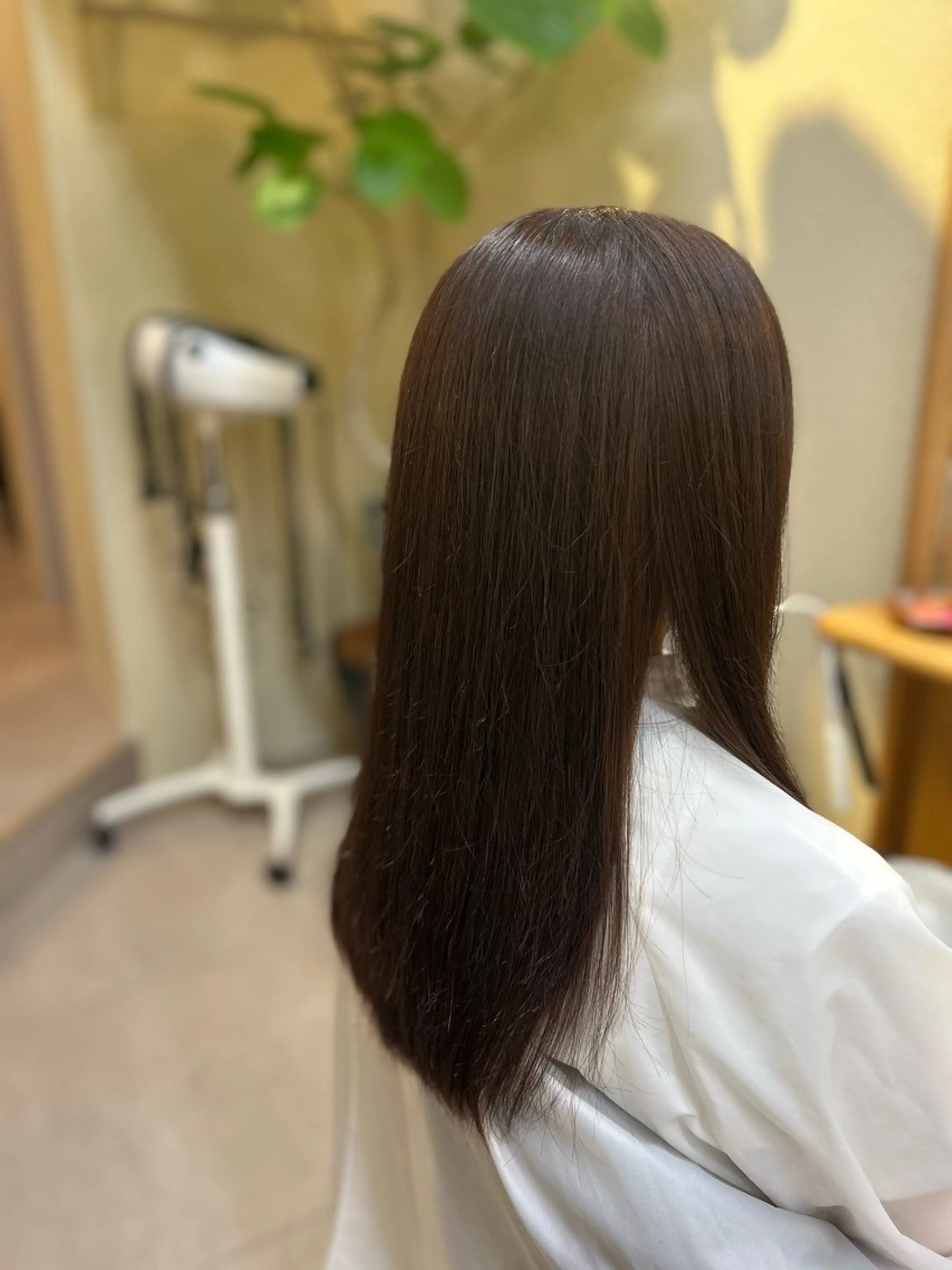 カラー ブラウンカラー ショコラブラウン ヘアカラー Oggi所属・悠莉/ショート/ ボブ/レイヤーのヘアスタイル