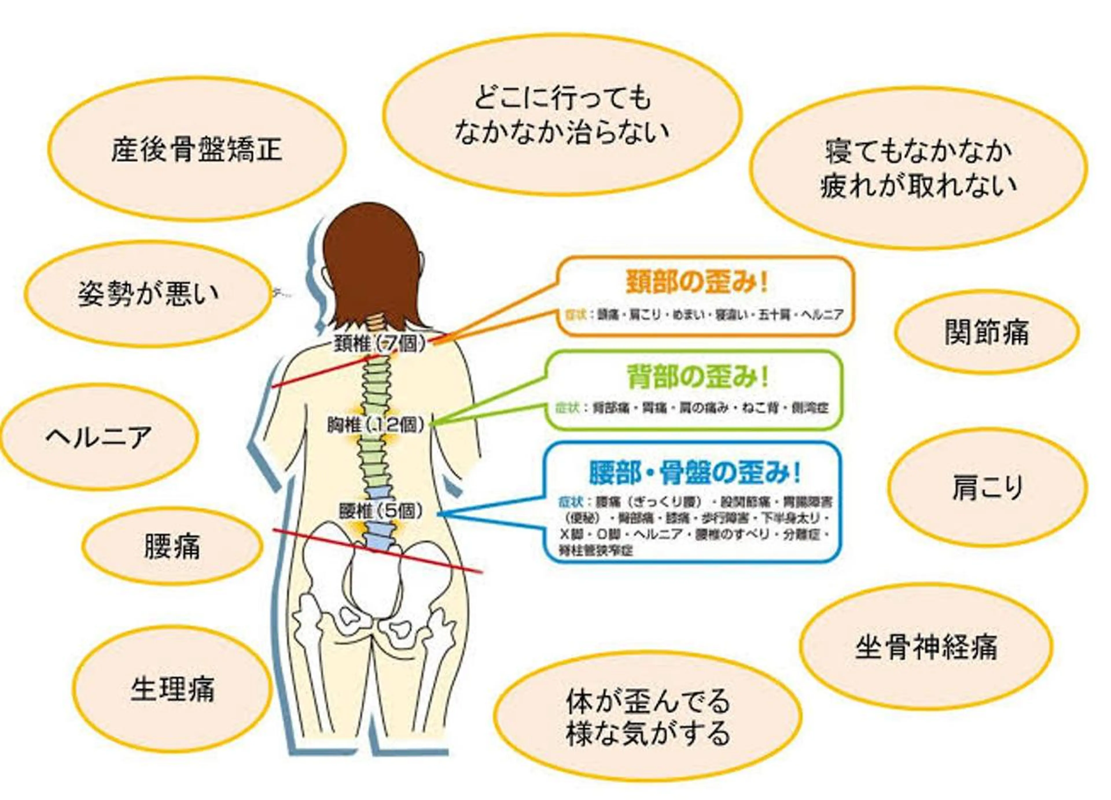 えびす整体院所属・evis daikiのエステ・リラクイメージ