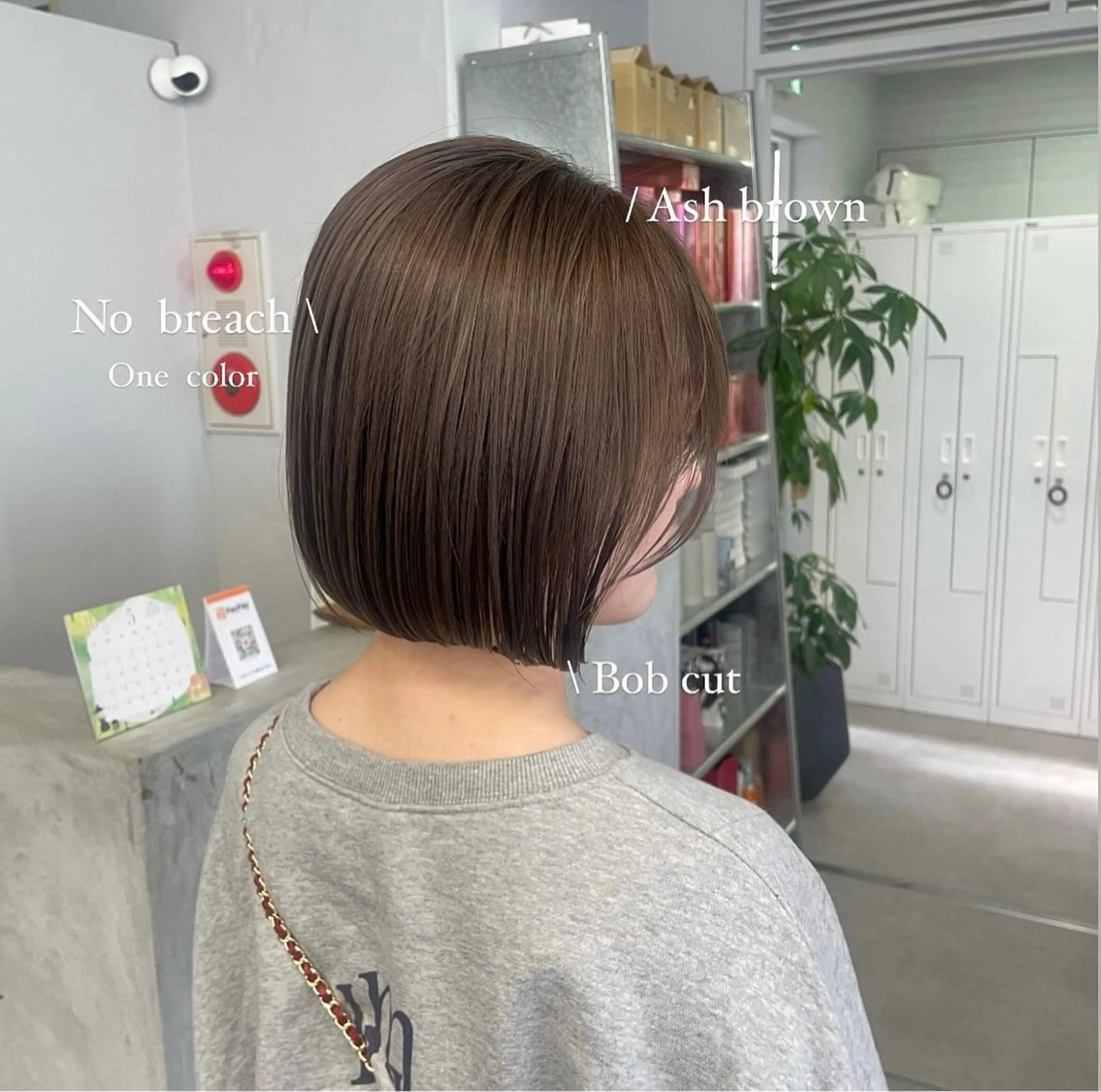 ショート ボブ 髪質改善 ヘアカラー トリートメント Mirai /のヘアスタイル