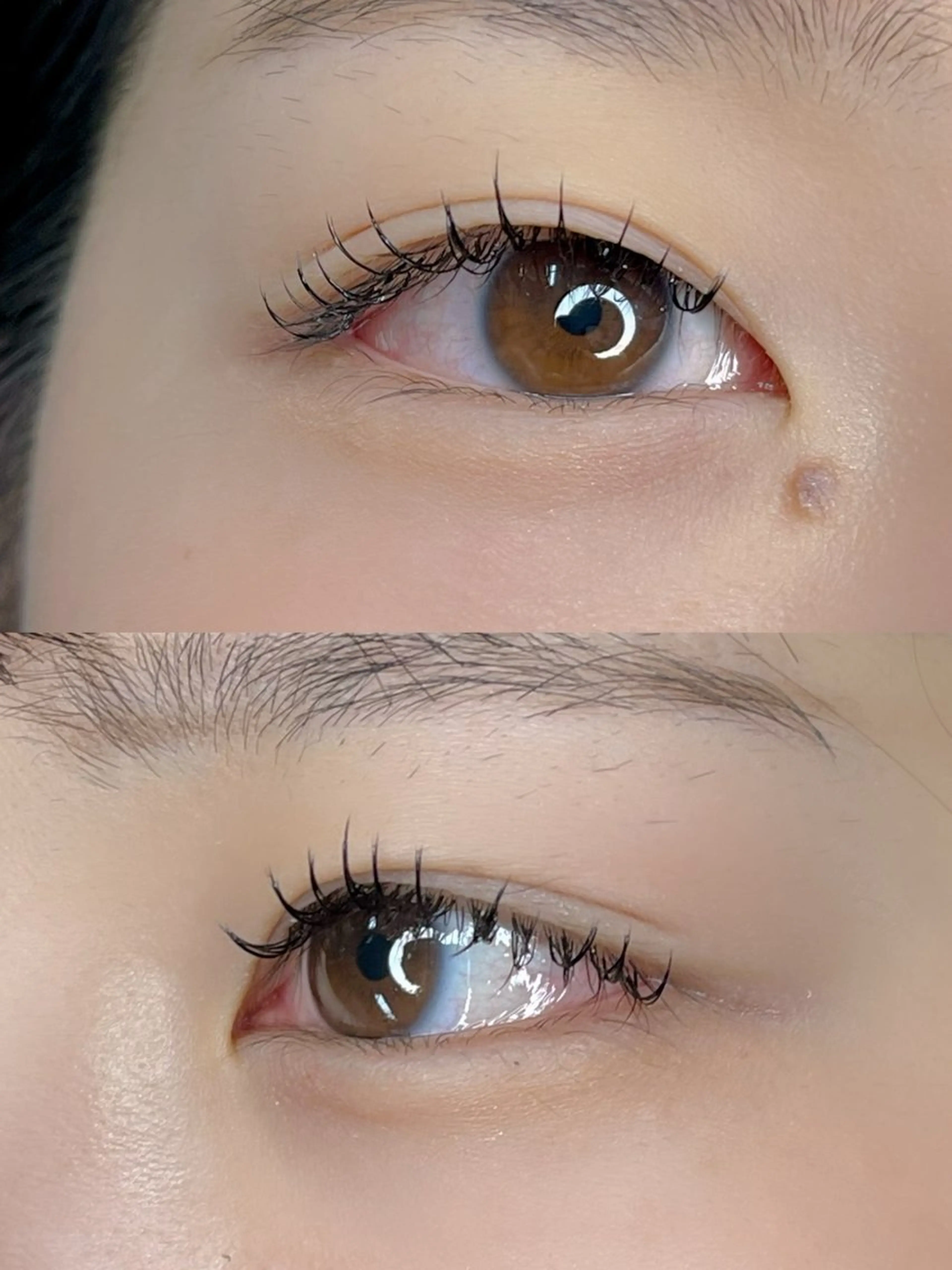 本日限定ブリスラップ120束(練習モデル)⚠️LEDグルーでの施術になります。仕上がりはシングルエクステのような仕上がりの写真