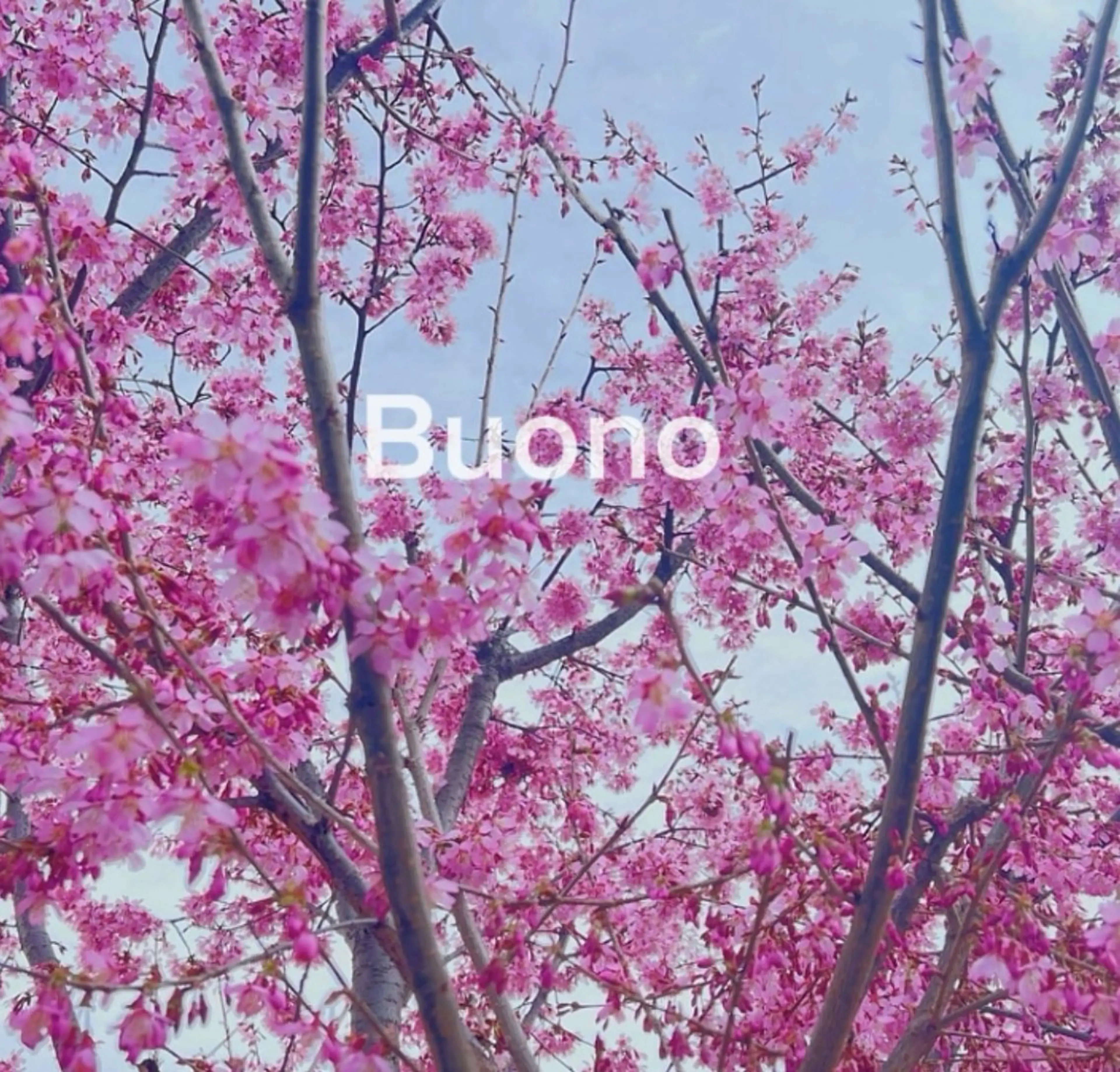 ネイル Buono /代々木駅5分のネイルデザイン