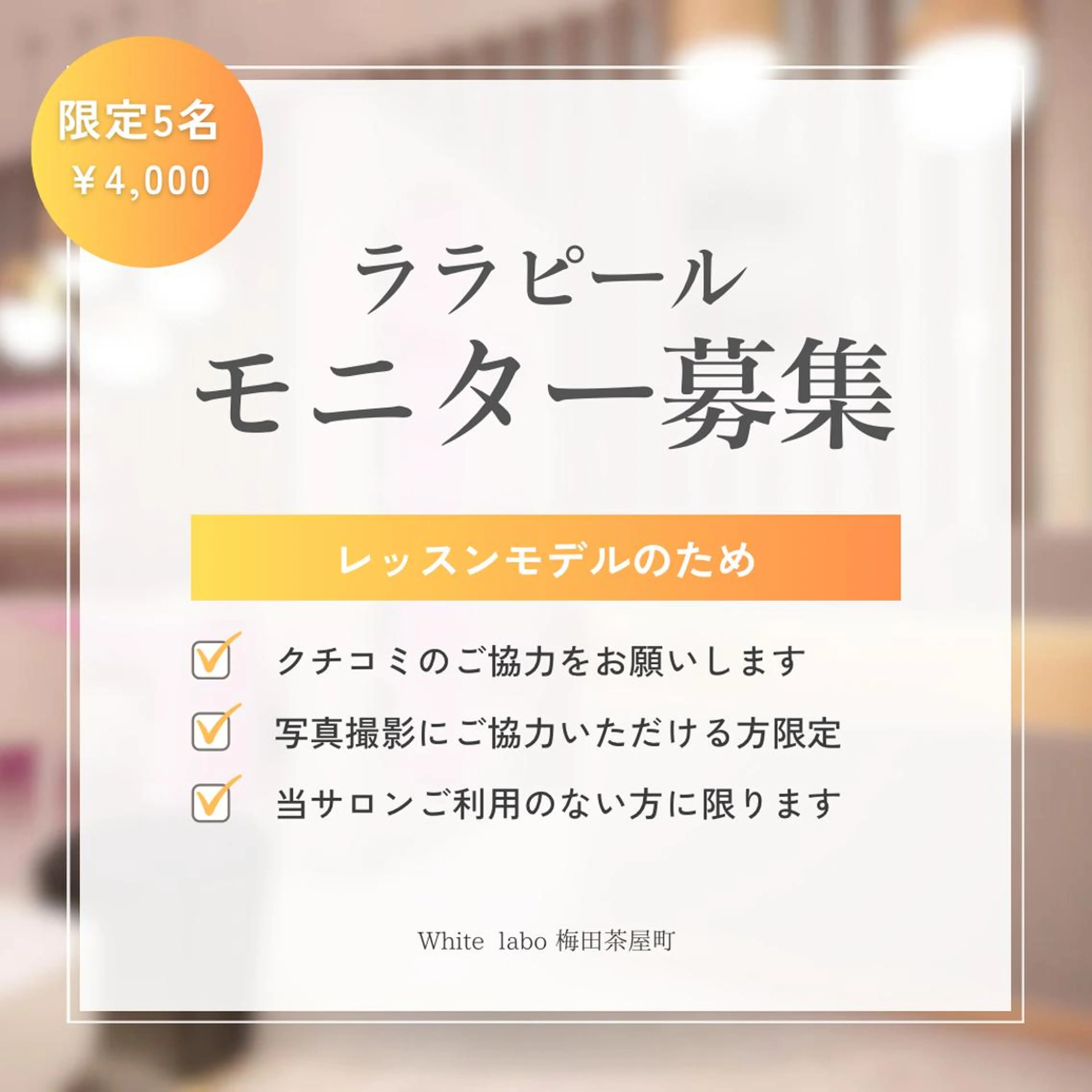 期間限定!!先着5名‼️ ララピール レッスンモデル(注意事項を必ずお読みください⚠️)の写真