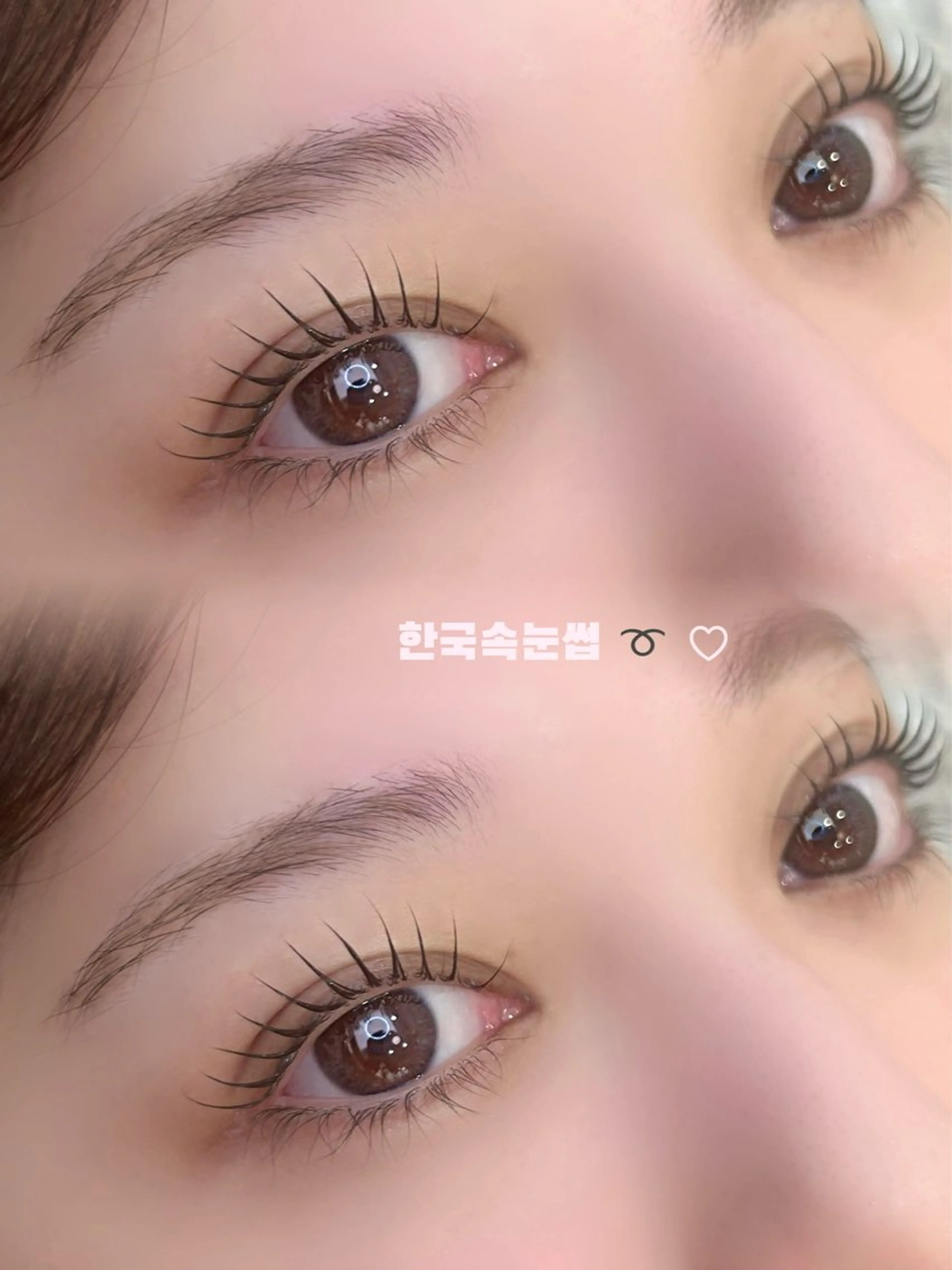 マツエク・マツパ ケラチンラッシュリフト 韓国風マツエク 一重×まつ毛パーマ CHARIRE所属・チカ♡ /韓国まつげの眉毛・アイブロウイメージ