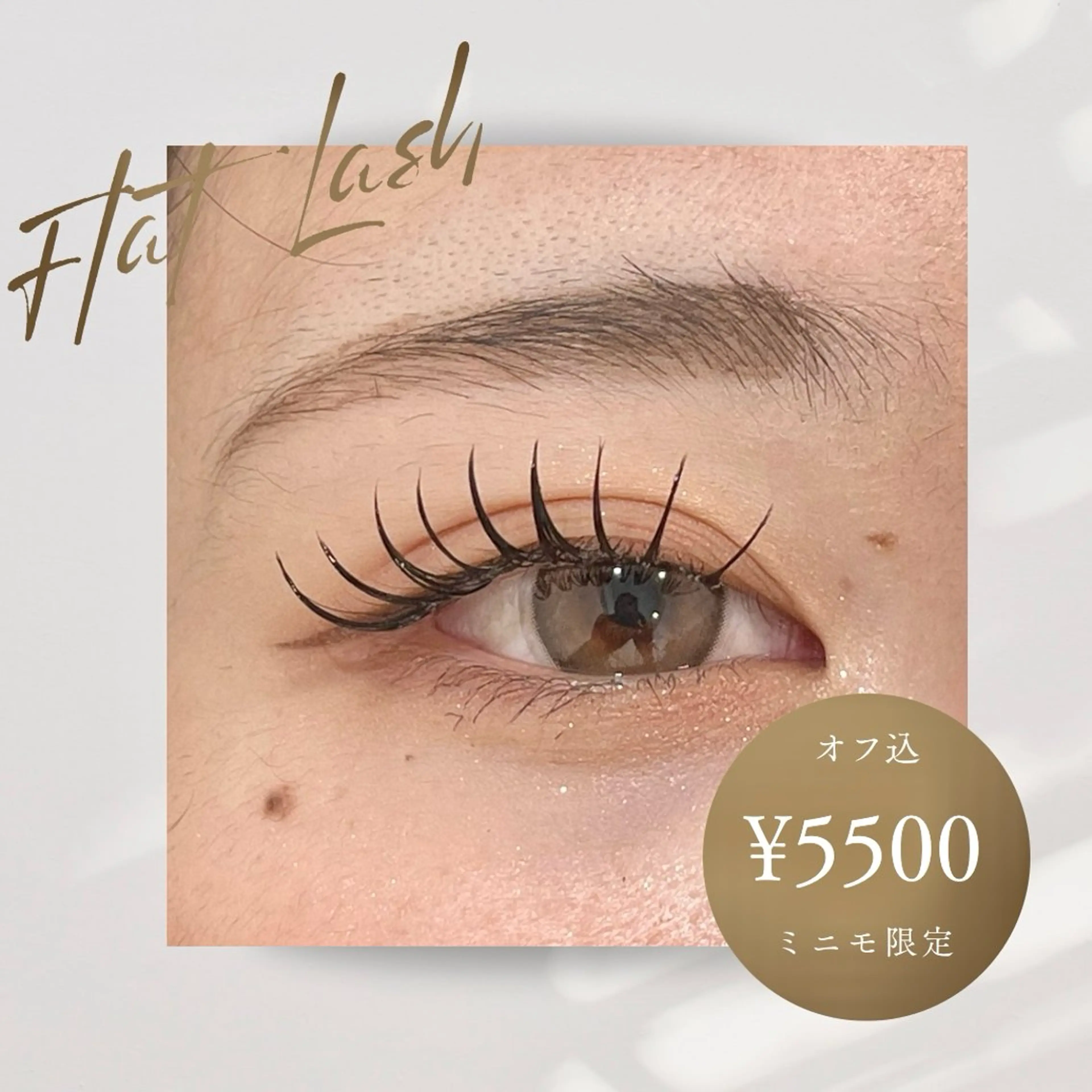 🌼フラットラッシュ120本🌼の写真