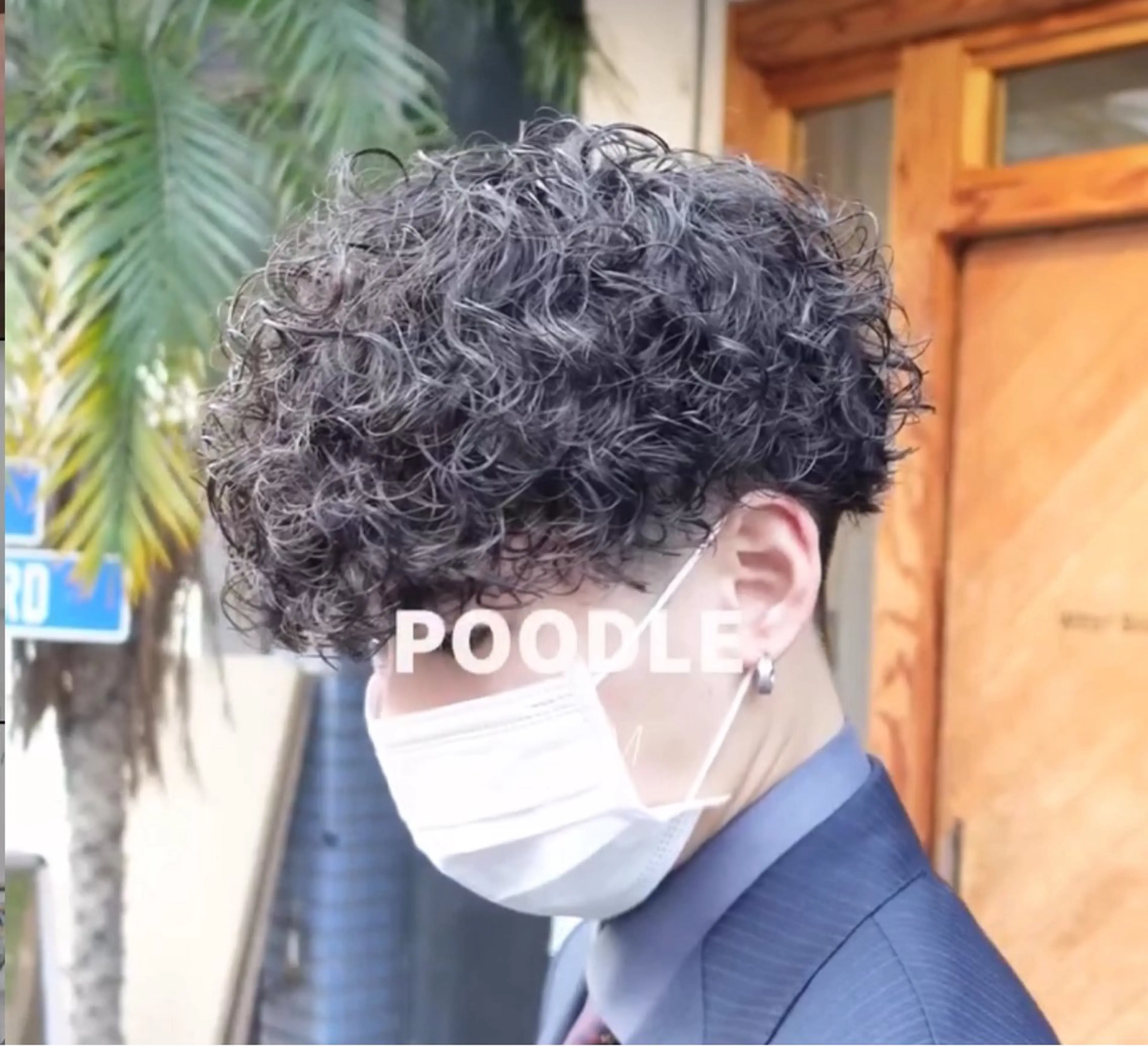 ショート パーマ メンズ メンズパーマ プードルパーマ プードルパーマ sunc所属・安野 碧のヘアスタイル