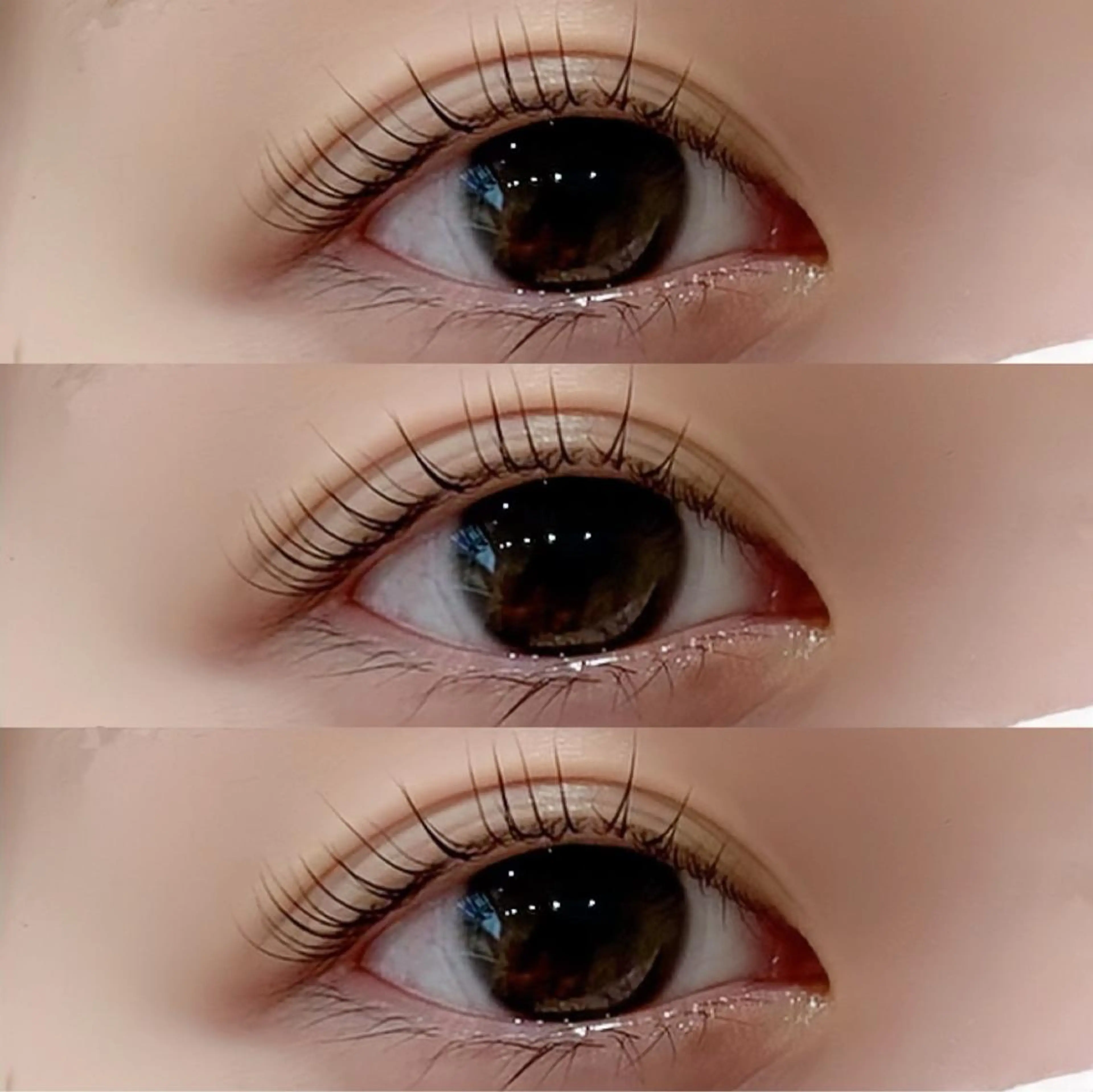 ãããšã¯ã»ããã ããã eyelist ð§ððšã®ãããšã¯ã»ããããã¶ã€ã³