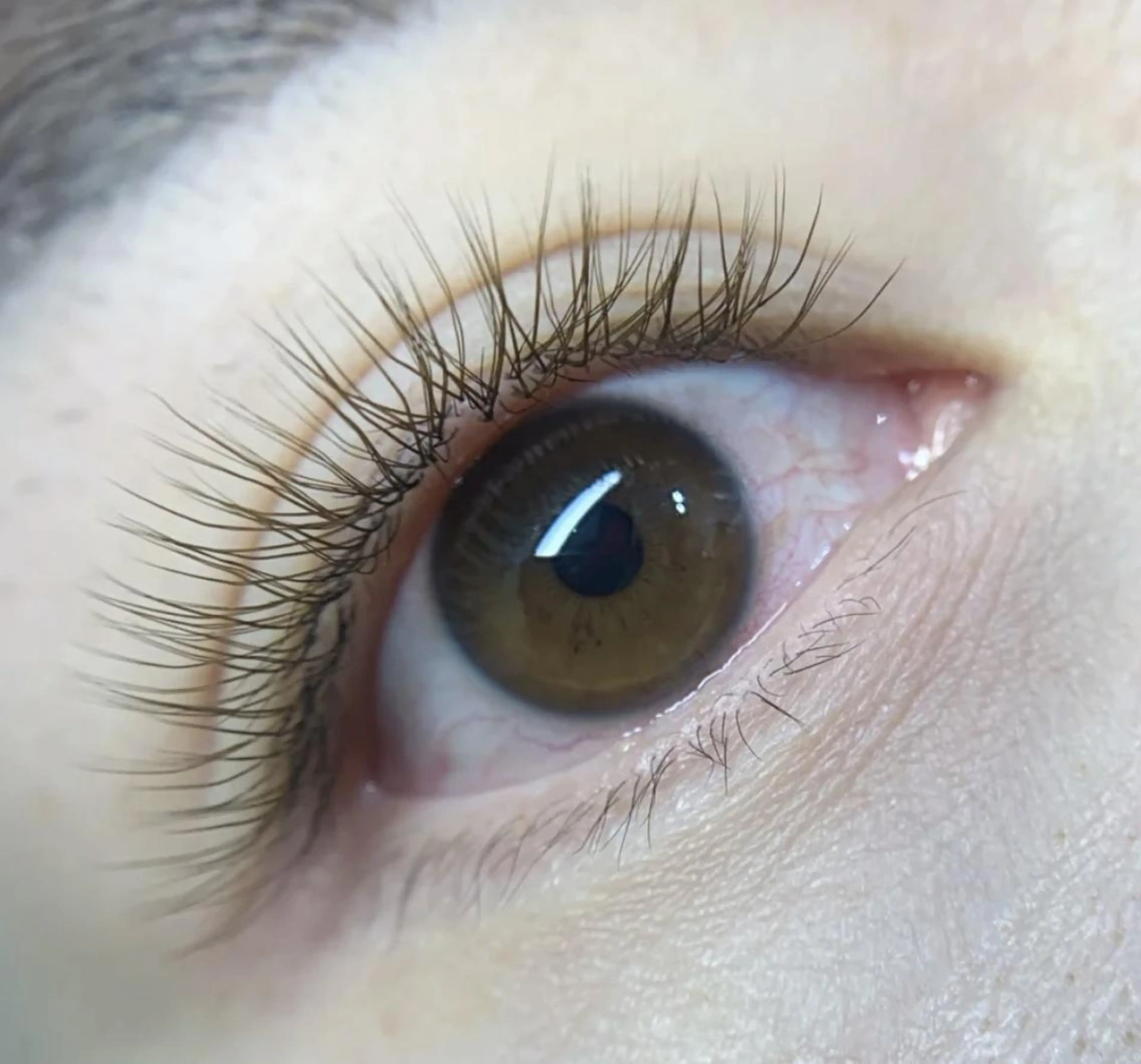 マツエク・マツパ Cute B e au t yのマツエク・マツパデザイン