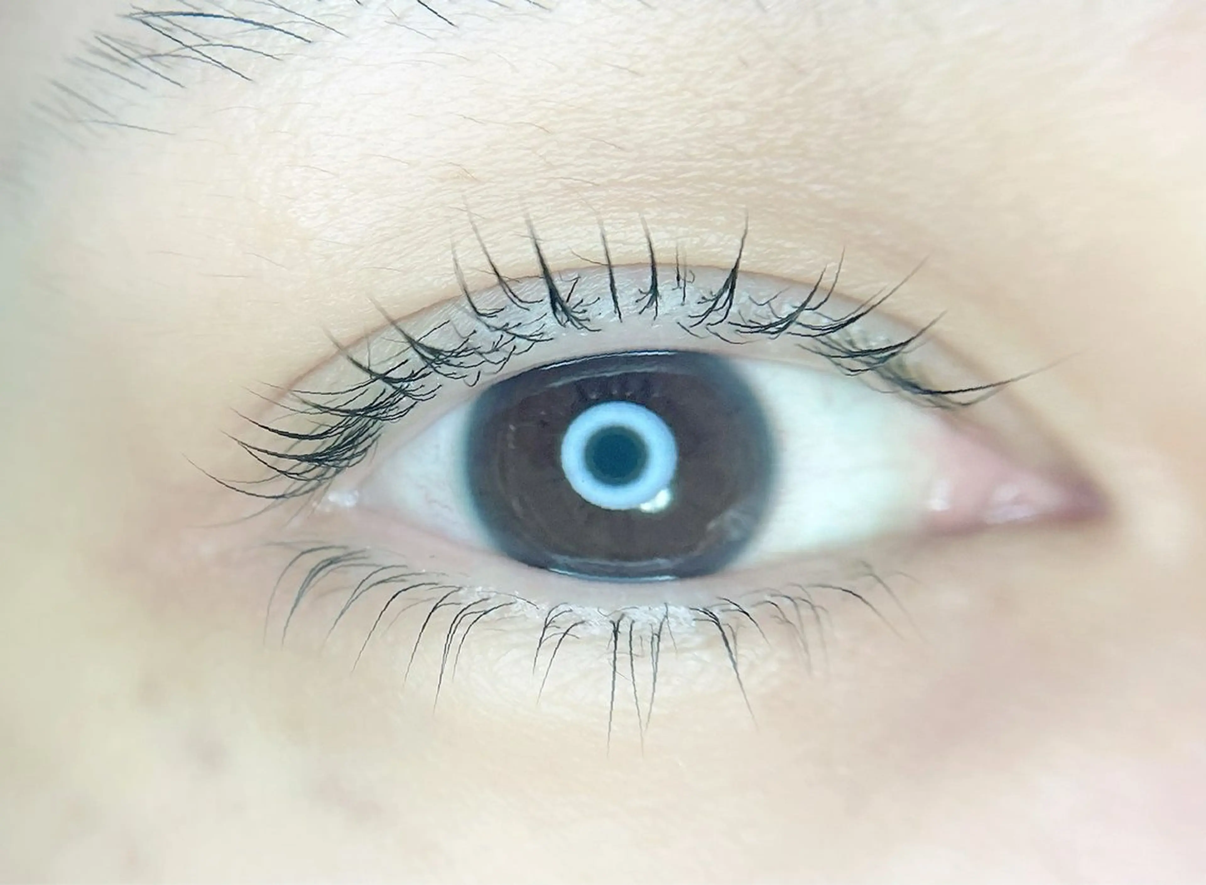 マツエク・マツパ まつげパーマ 下まつげエクステ irie hair &　eyelash所属・irie(ｱｲﾘｰ) hair&eyeのマツエク・マツパデザイン
