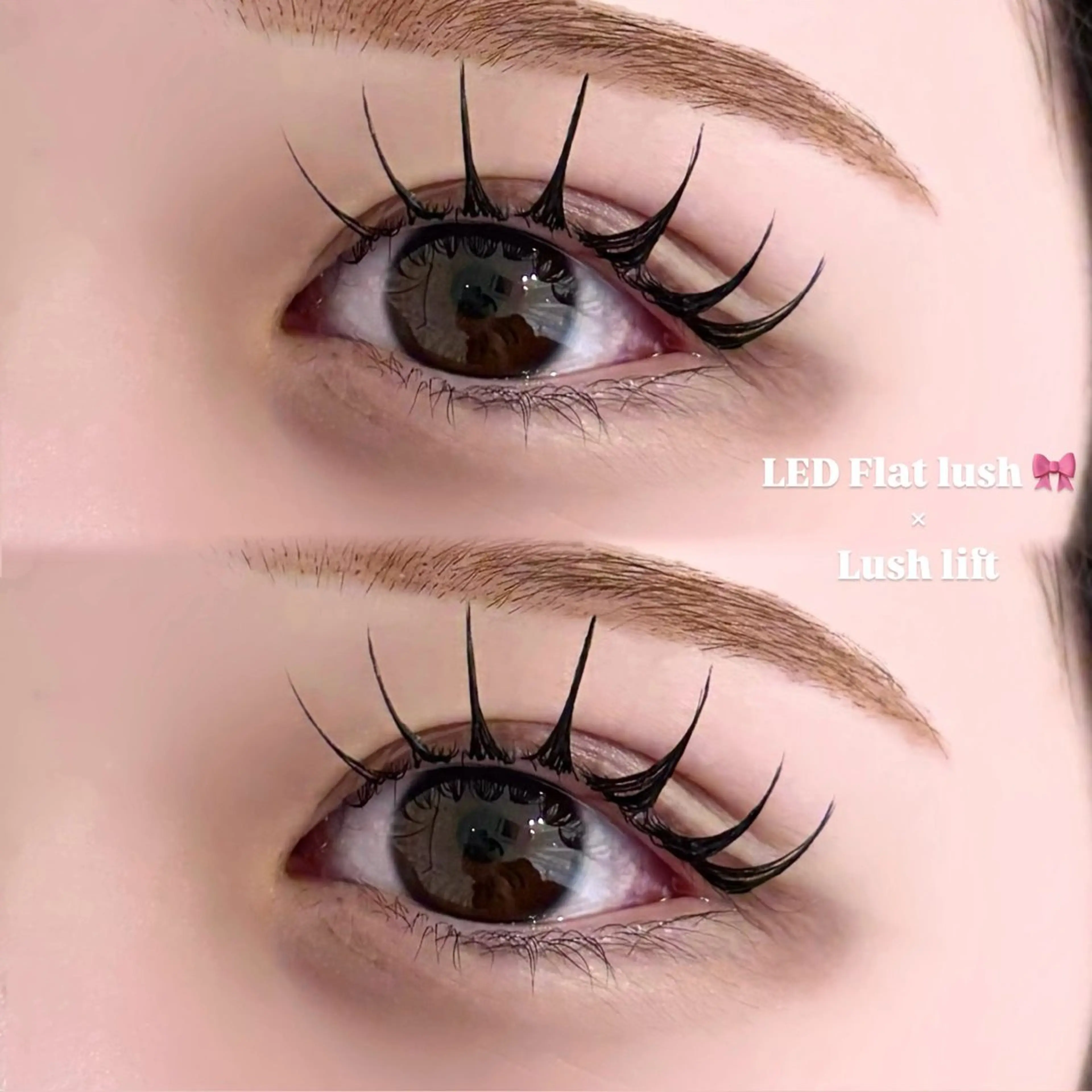 マツエク・マツパ キュート マツエク EYELA 小築🐈‍⬛🤍のマツエク・マツパデザイン