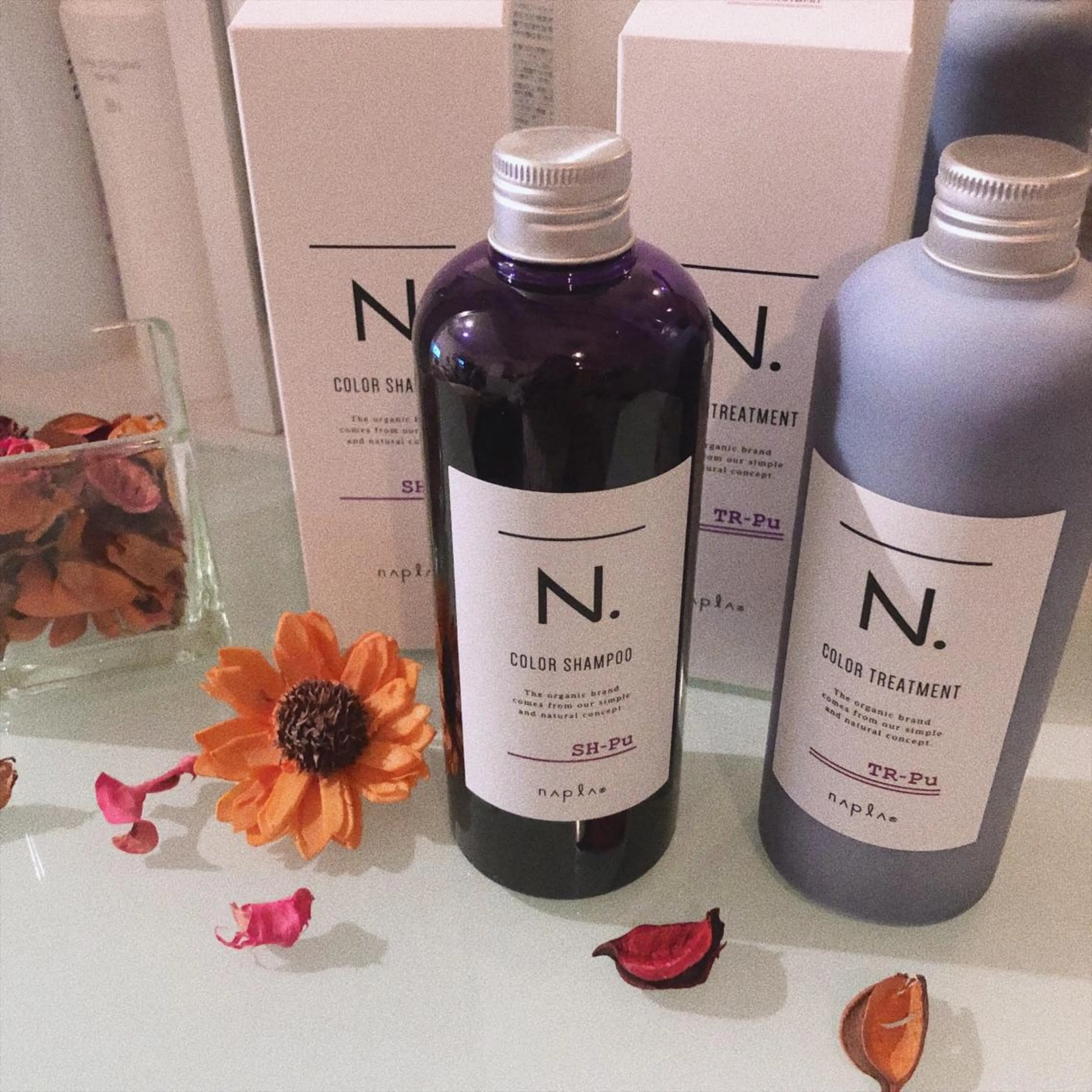 高橋胡桃🪽 ディレクターのヘアスタイル