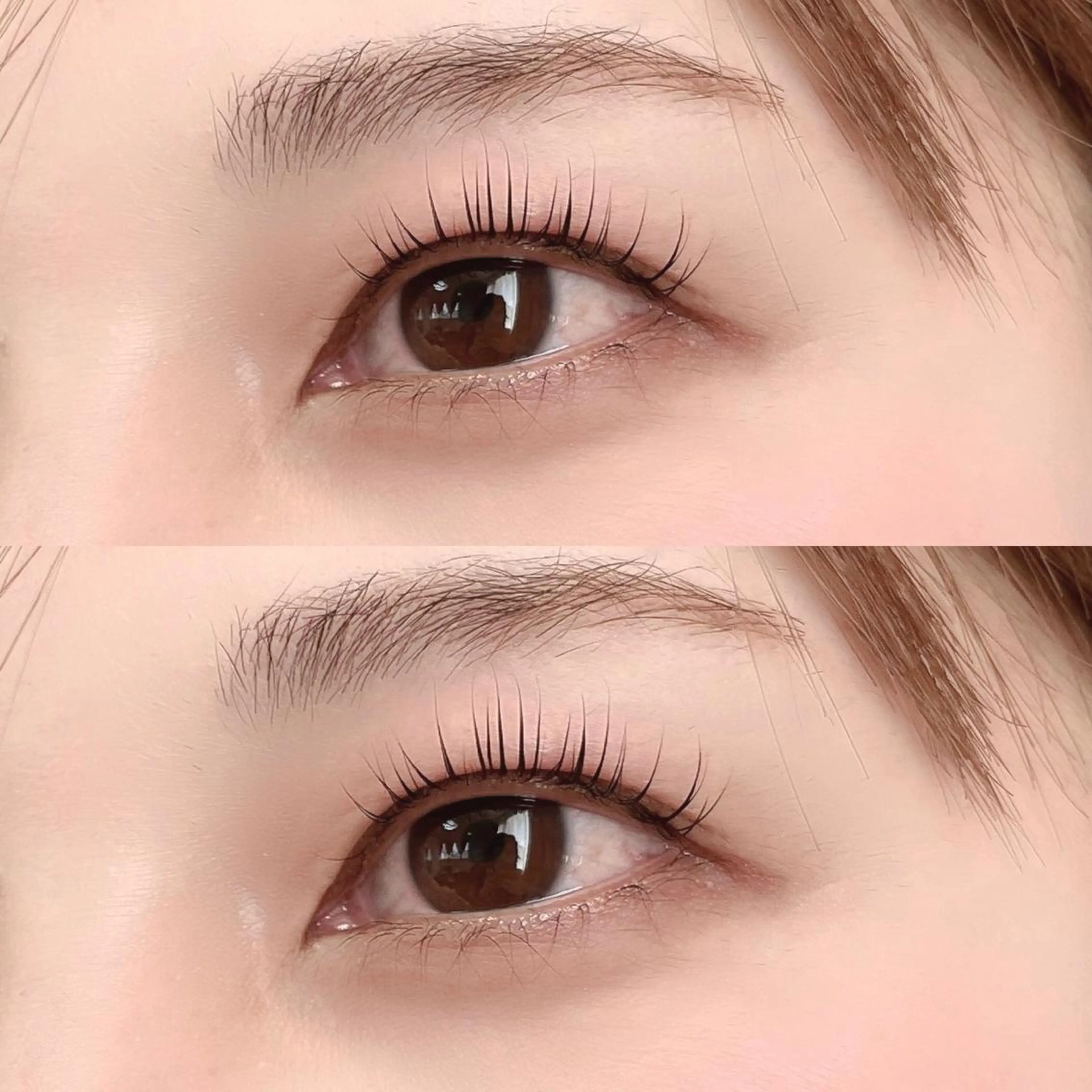 マツエク・マツパ ケラチンラッシュリフト マツパ 🦋平林 未莉🦋✨のマツエク・マツパデザイン