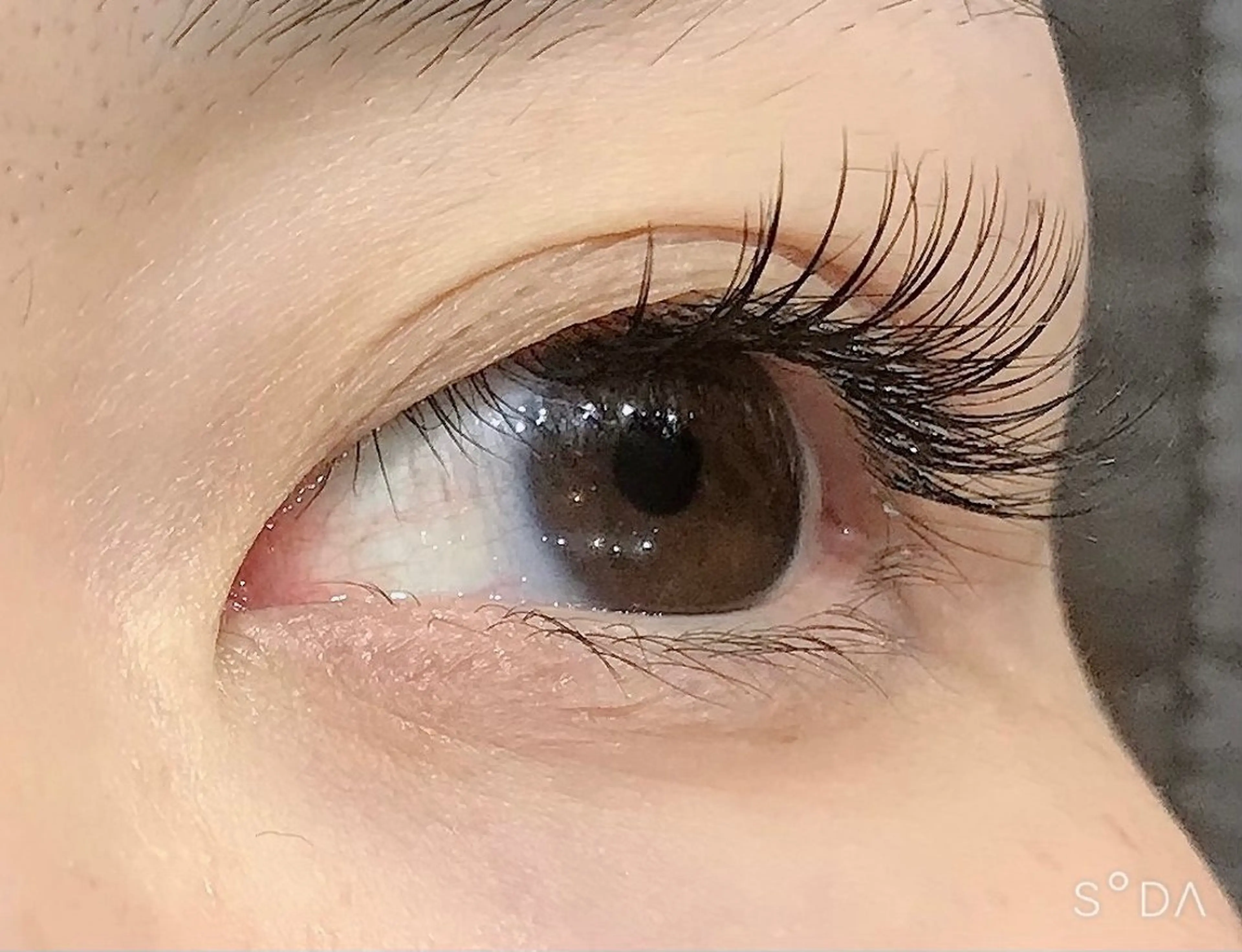 マツエク・マツパ マツエク BRISE erikaの眉毛・アイブロウイメージ