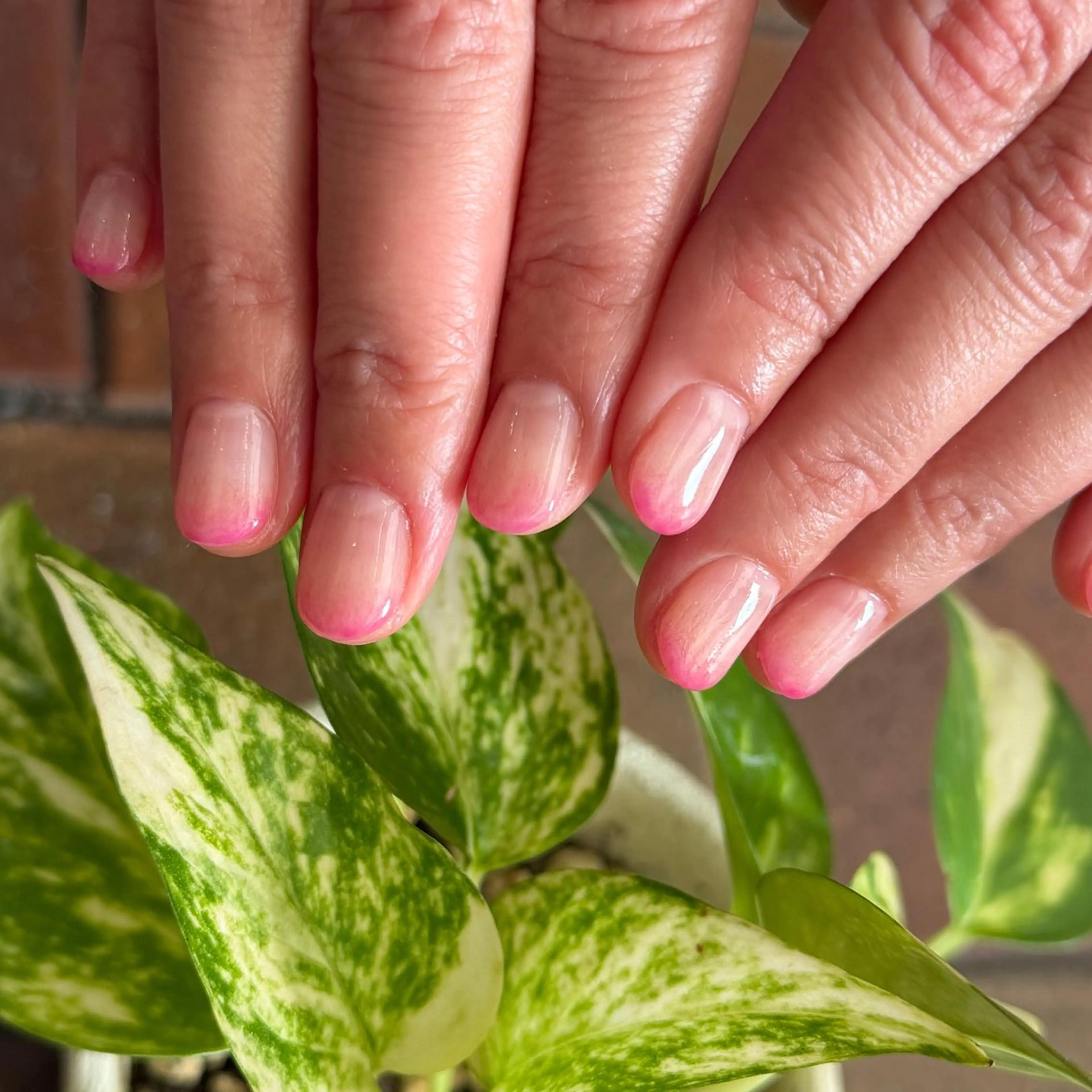 ネイル ハンドネイル フットネイル nail salon  ∞ mikanal ∞所属・nailsalon ∞ ﾐｶﾅﾙ ∞のネイルデザイン