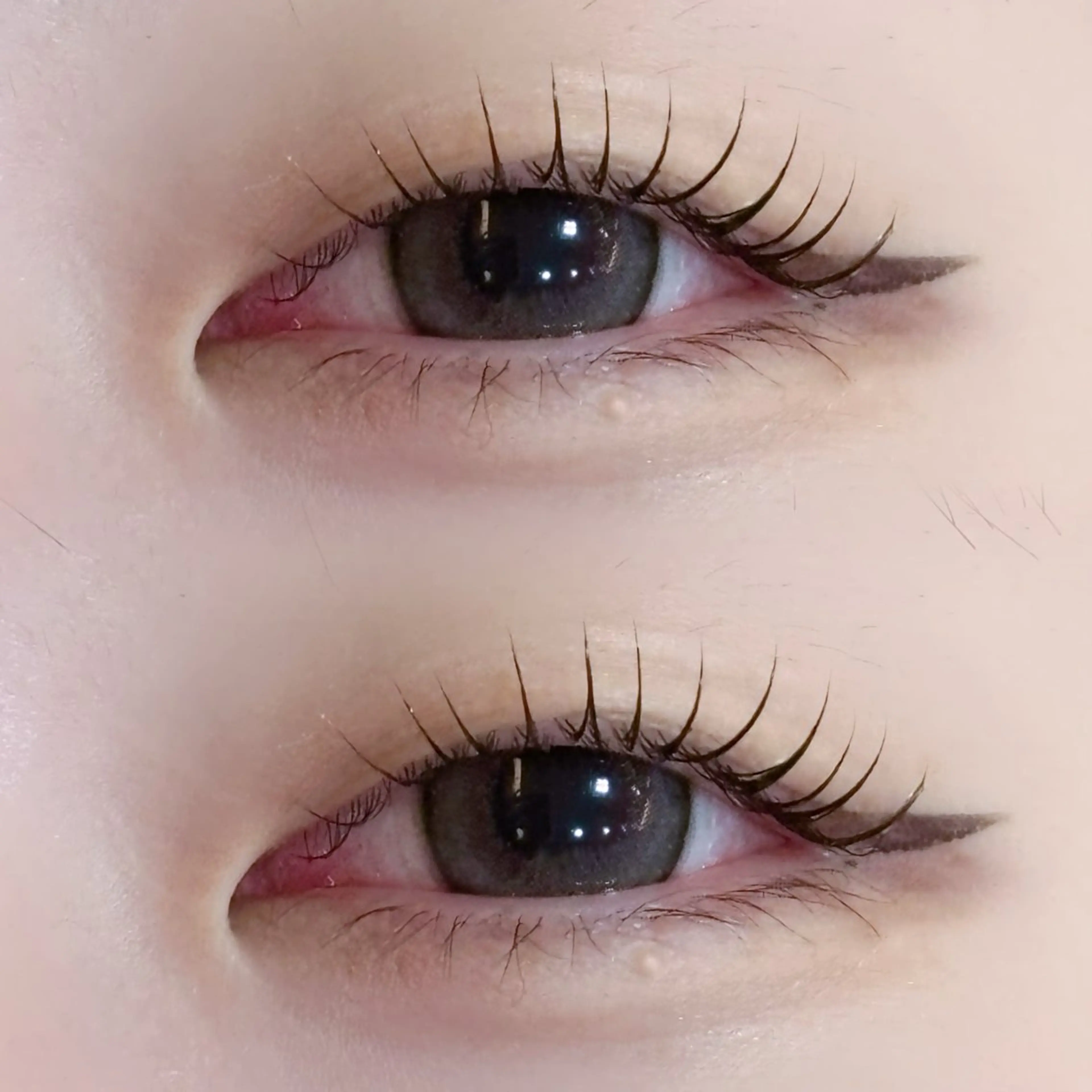 🎀【韓国風束感仕上げ🇰🇷】まつ毛パーマの写真