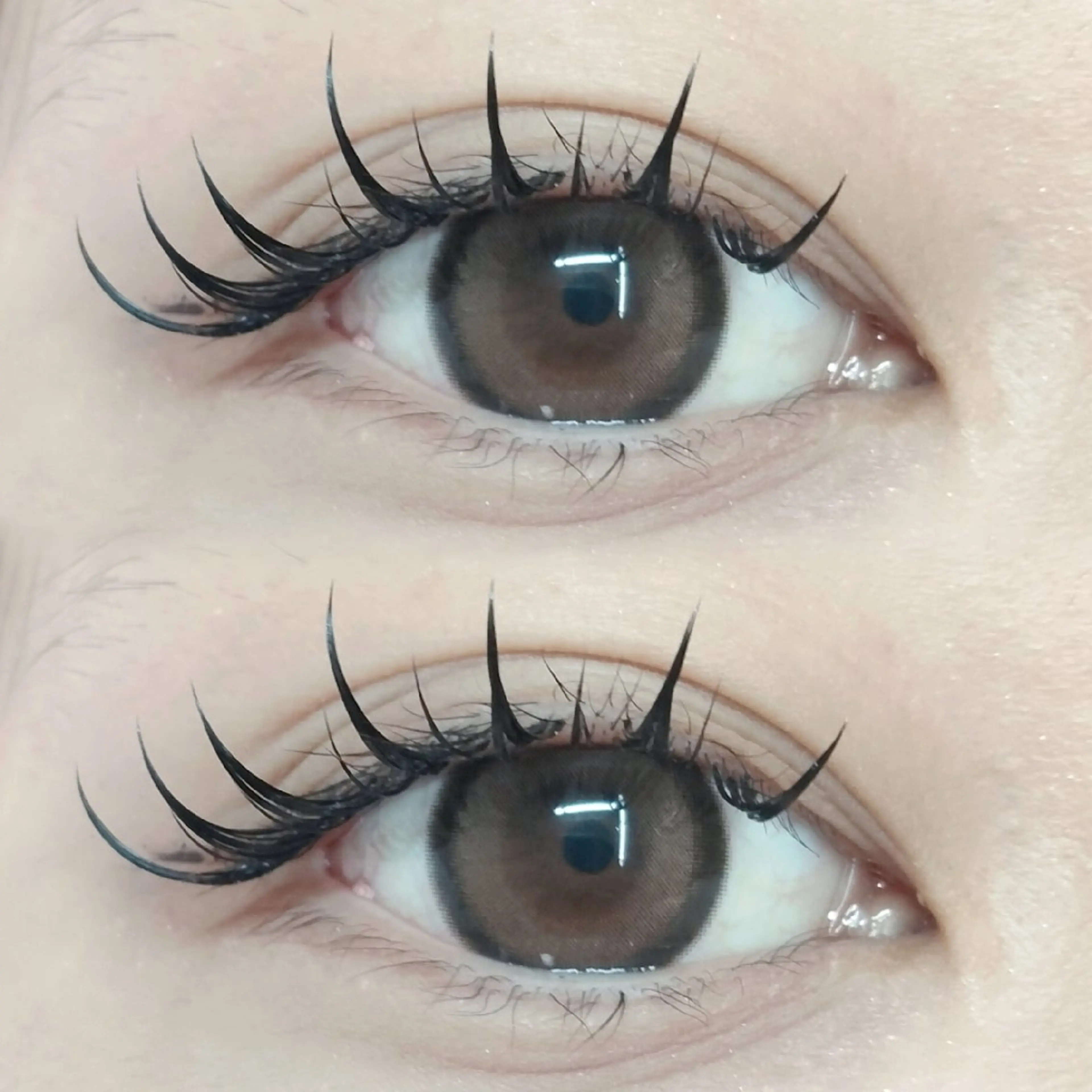 マツエク・マツパ foi by eyeartistsのマツエク・マツパデザイン