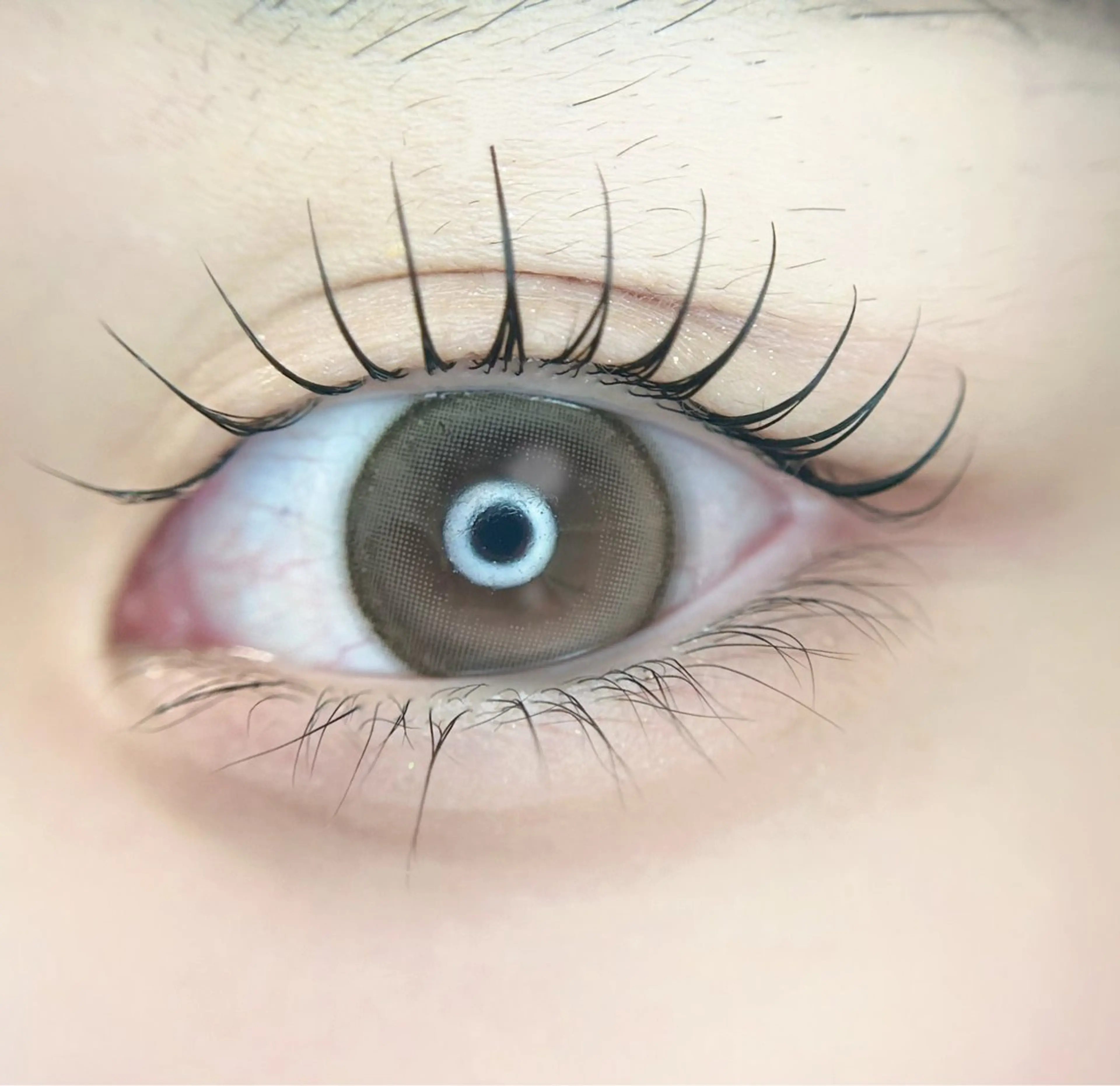 マツエク・マツパ eyelist. mizuki🐈⬛の眉毛・アイブロウイメージ