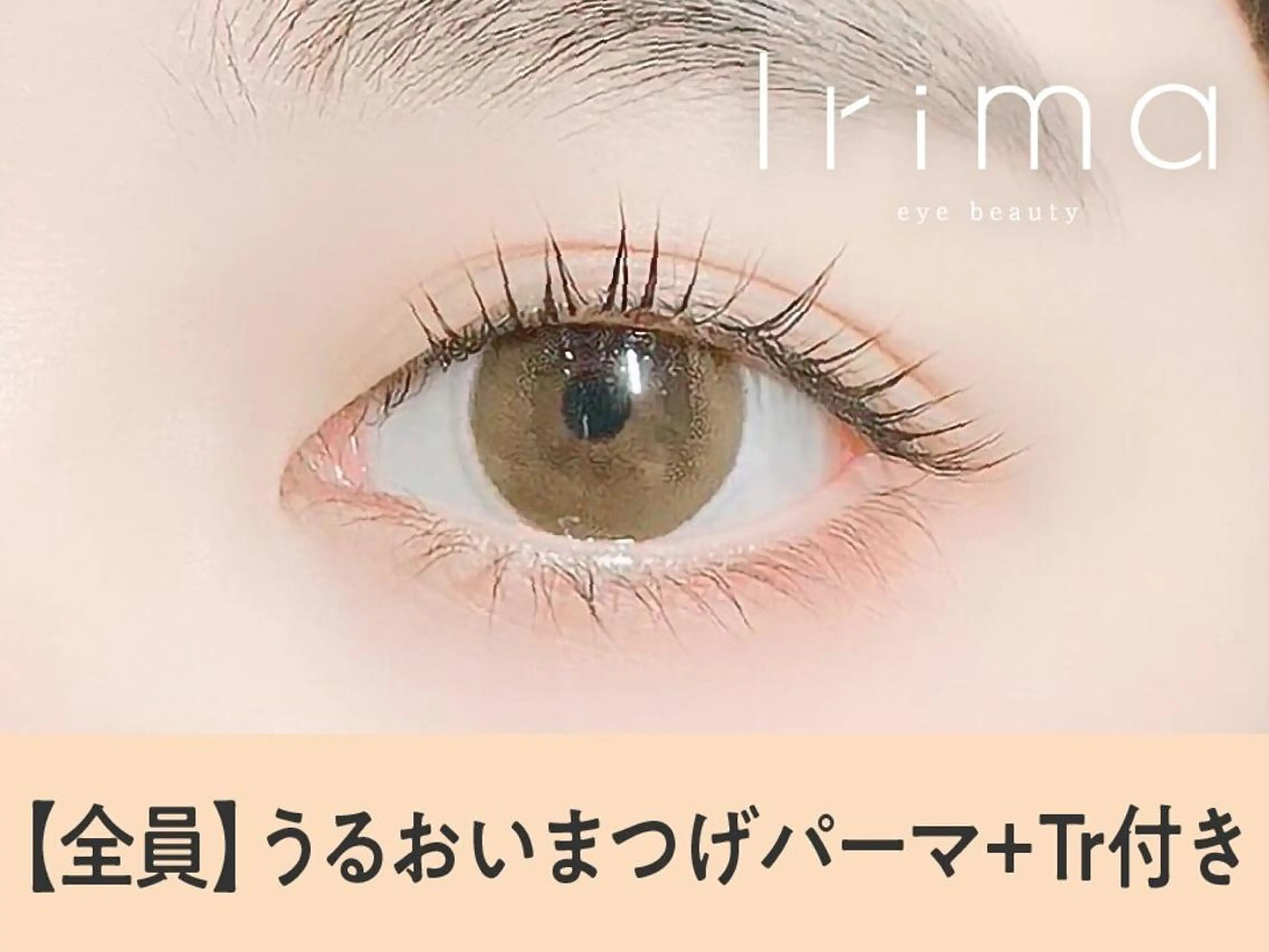 【全員🤍】潤いまつげパーマ＋エグータム美容液Tr💞　【3440円】[静岡]の写真