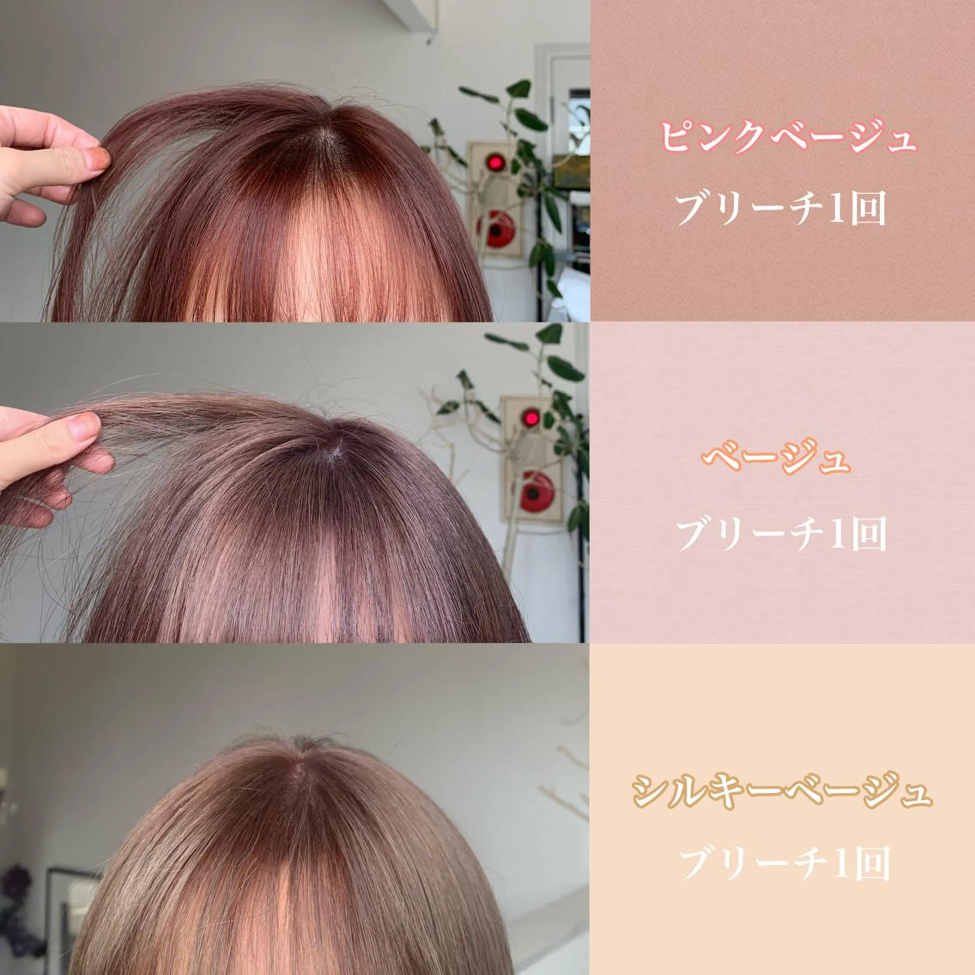 ショート カラー ベージュカラー ヘアカラー 袴田 伊代のヘアスタイル