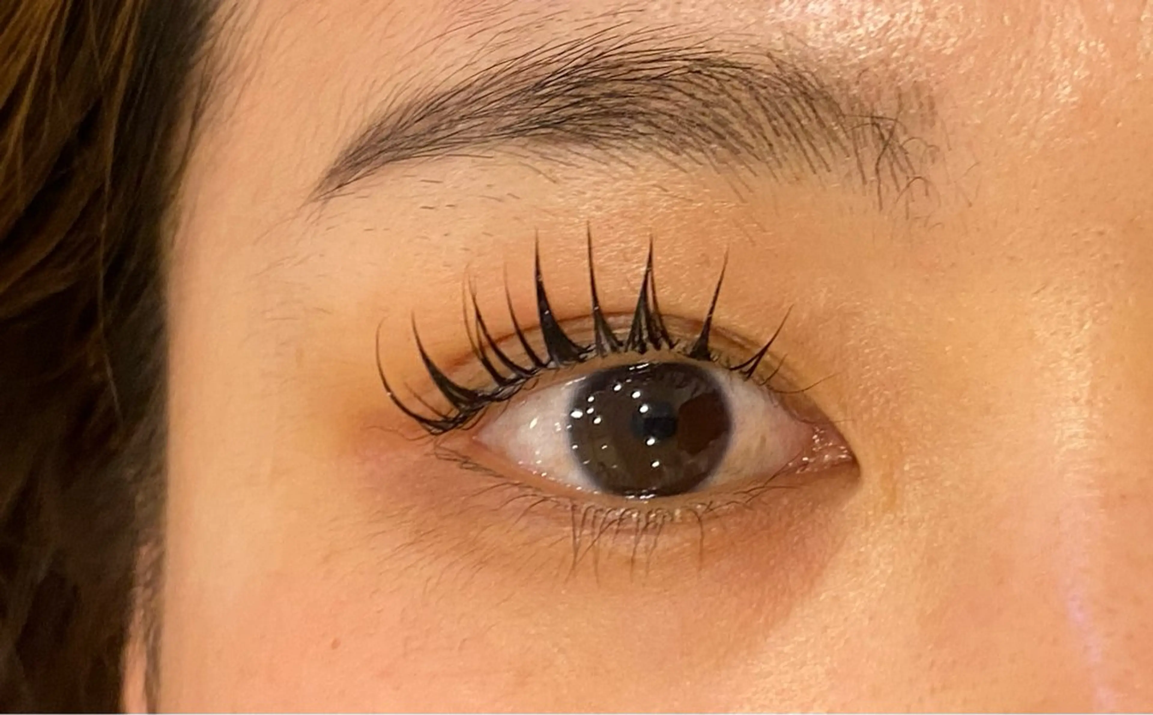 マツエク・マツパ まつげパーマ Daisy lash 京橋店堀井のマツエク・マツパデザイン