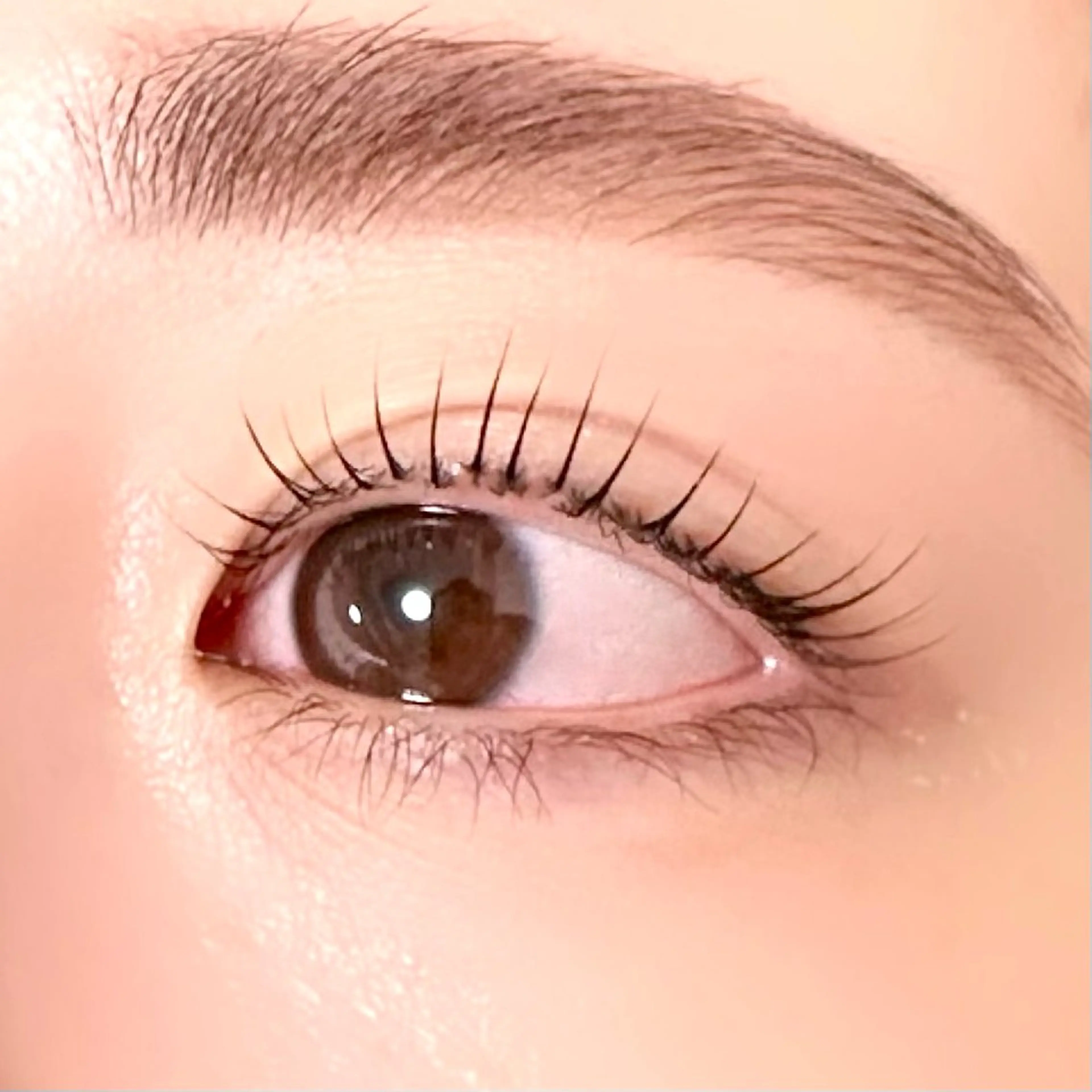 マツエク・マツパ 束感まつ毛 韓国風マツエク パリジェンヌラッシュリフト まつげパーマ 一重×まつ毛パーマ 渋谷／束感まつげ パーマ／YUKIのマツエク・マツパデザイン