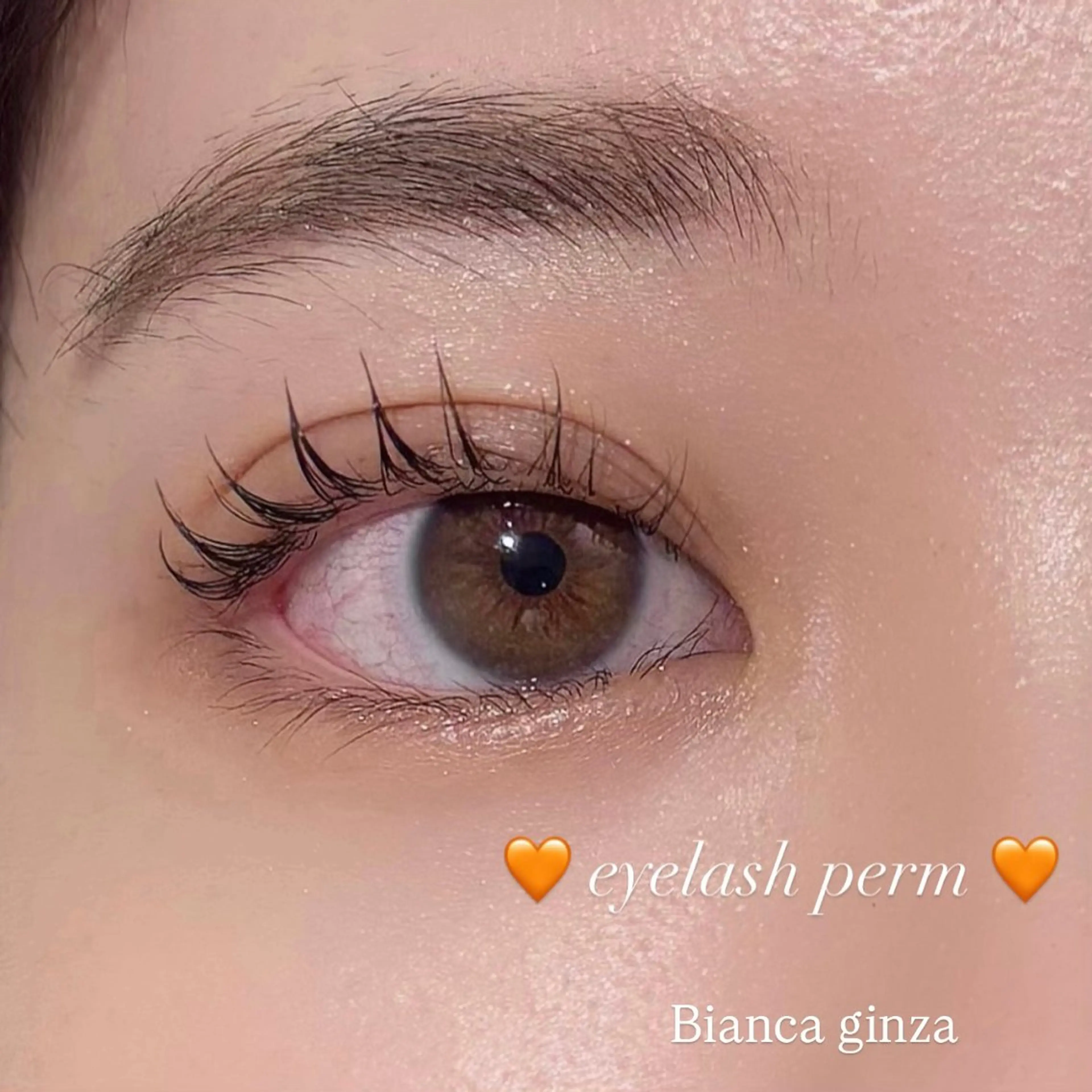 まつげパーマ『上のみ』🌟トリートメント仕上げ🌟メイク時短！ナチュラル派・マスカラ派の方♡田町の写真