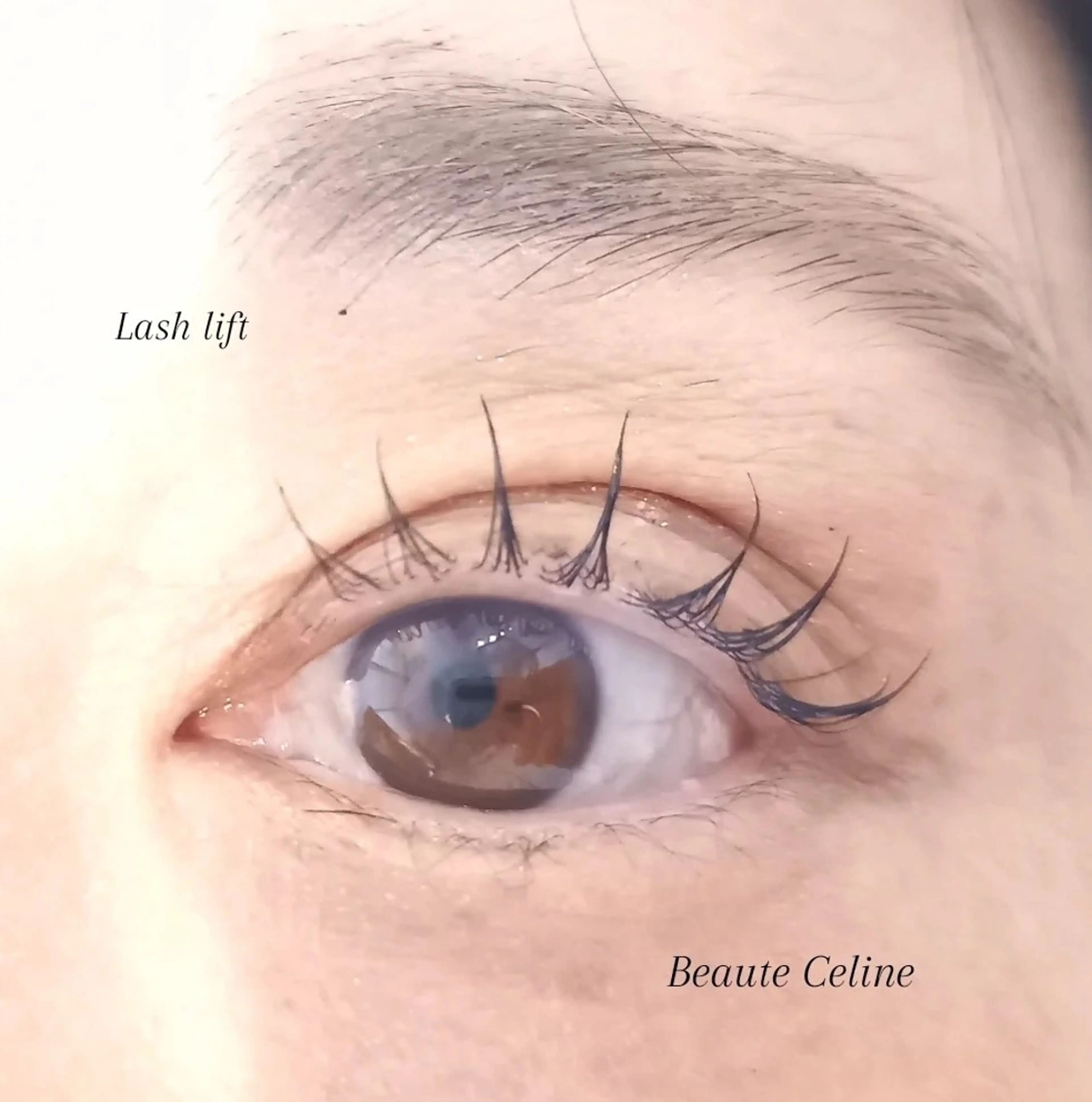 マツエク・マツパ マツパ beaute.celine所属・&healthy💜 ﾎﾞｰﾃCelineのマツエク・マツパデザイン
