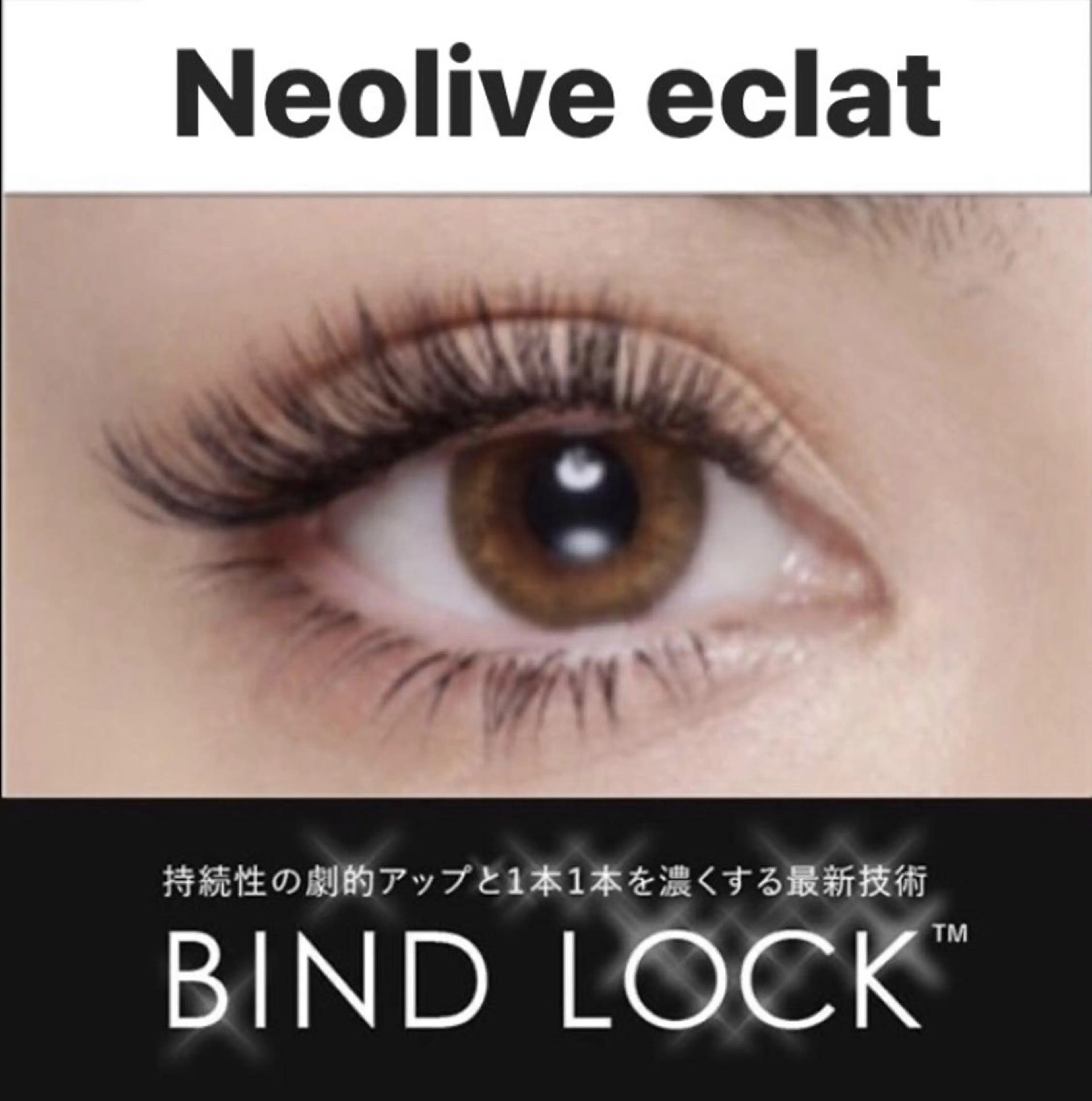 【初回限定価格】モチとボリューム感UP🪽バインドロック240本(シングル100本程) 《4950円》の写真