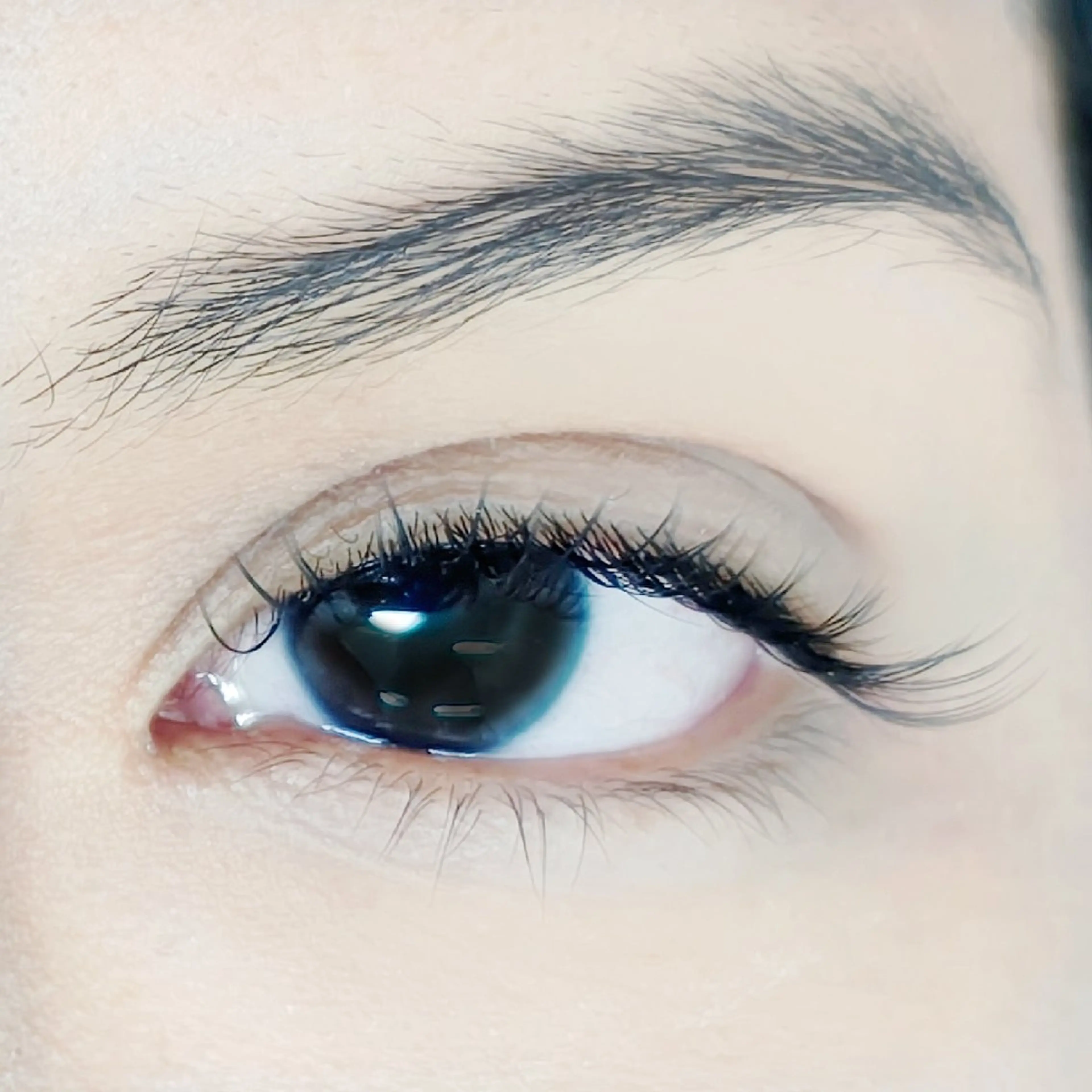 ✩フラットラッシュ　80本の写真
