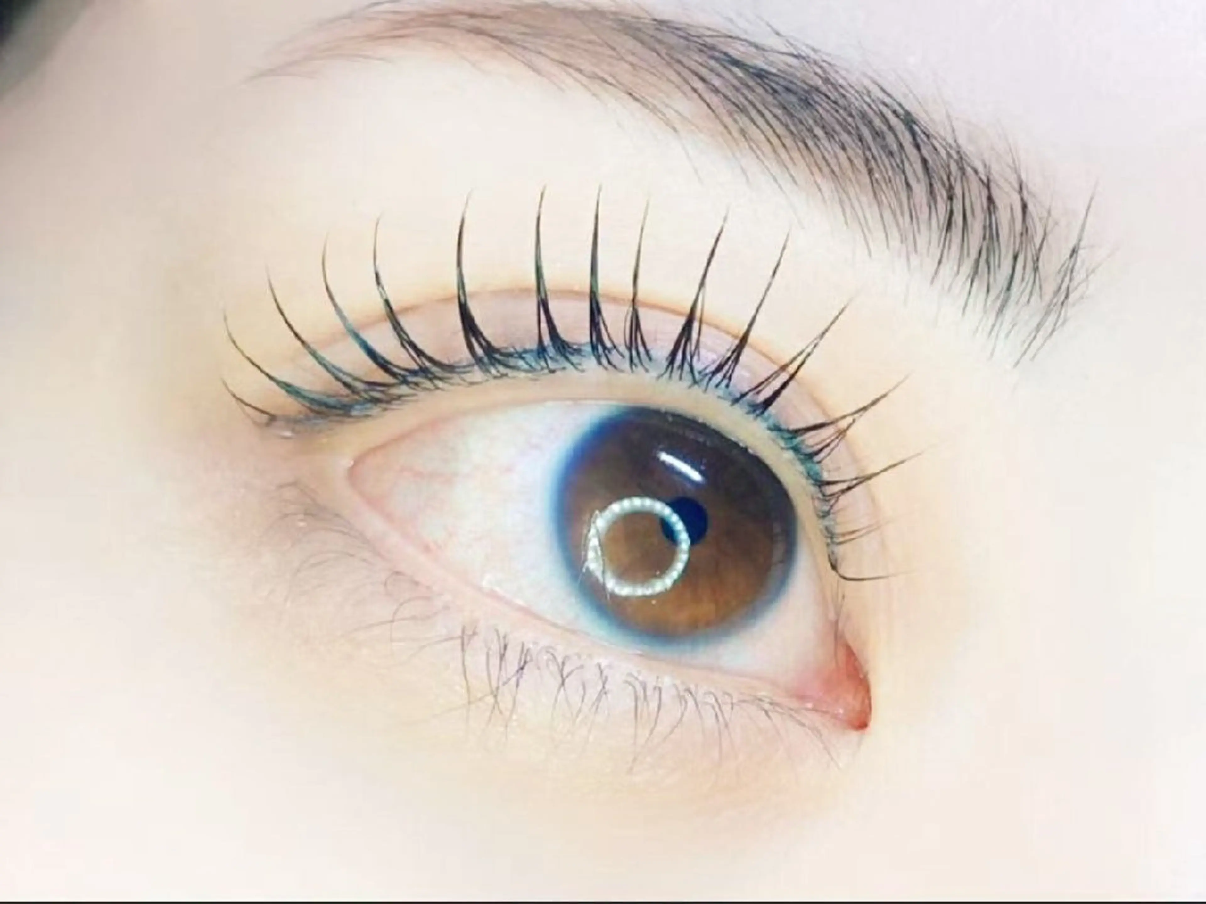 マツエク・マツパ アレグレス所属・アレグレス@池袋 🌹大人気店🌹のマツエク・マツパデザイン