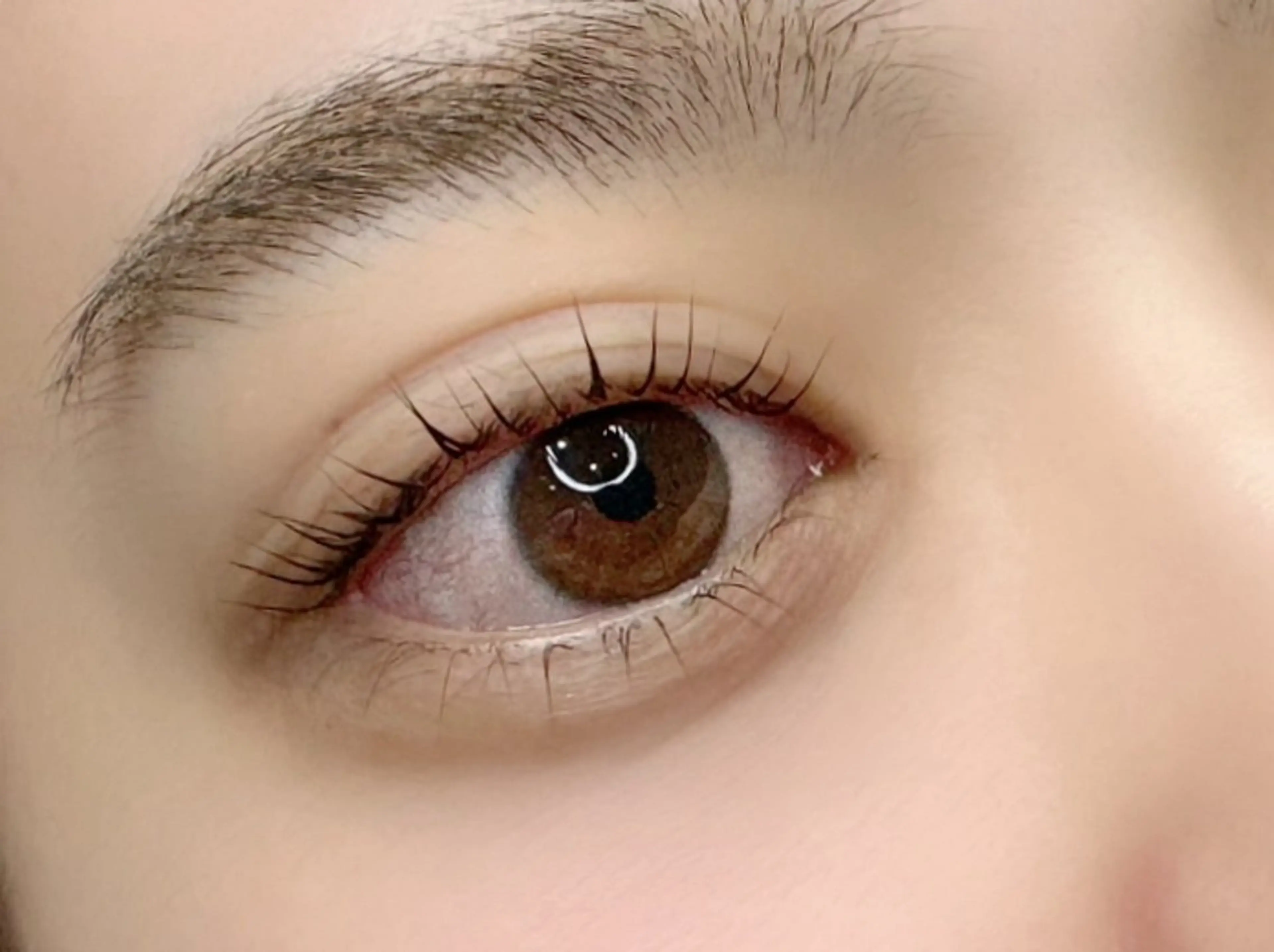 マツエク・マツパ まつげパーマ 下まつげエクステ マツパ Ranacien まつげパーマのマツエク・マツパデザイン