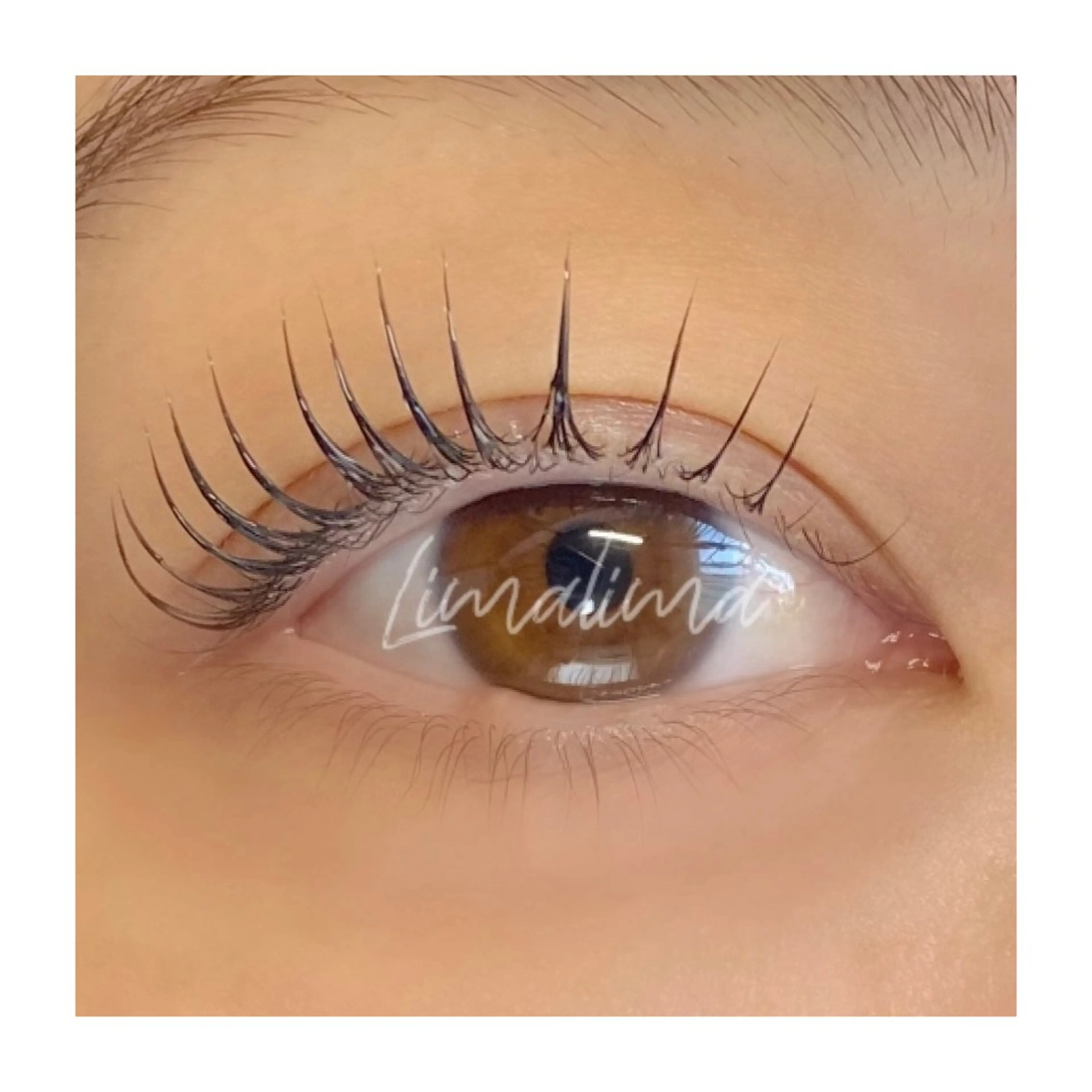 💙限定価格💙パリジェンヌラッシュリフト(上のみ)の写真