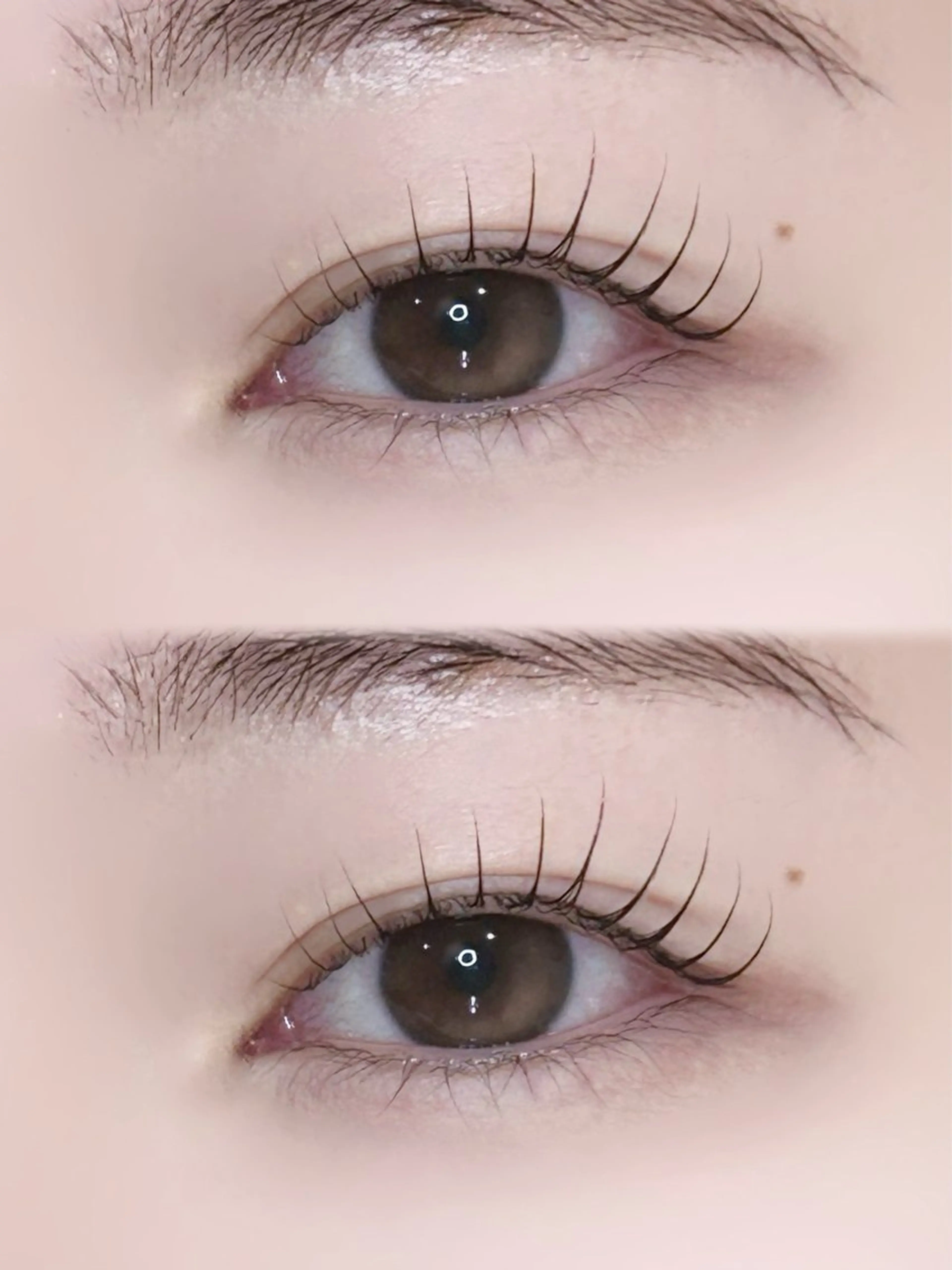 マツエク・マツパ 【 SHE:P 】 まつだのマツエク・マツパデザイン