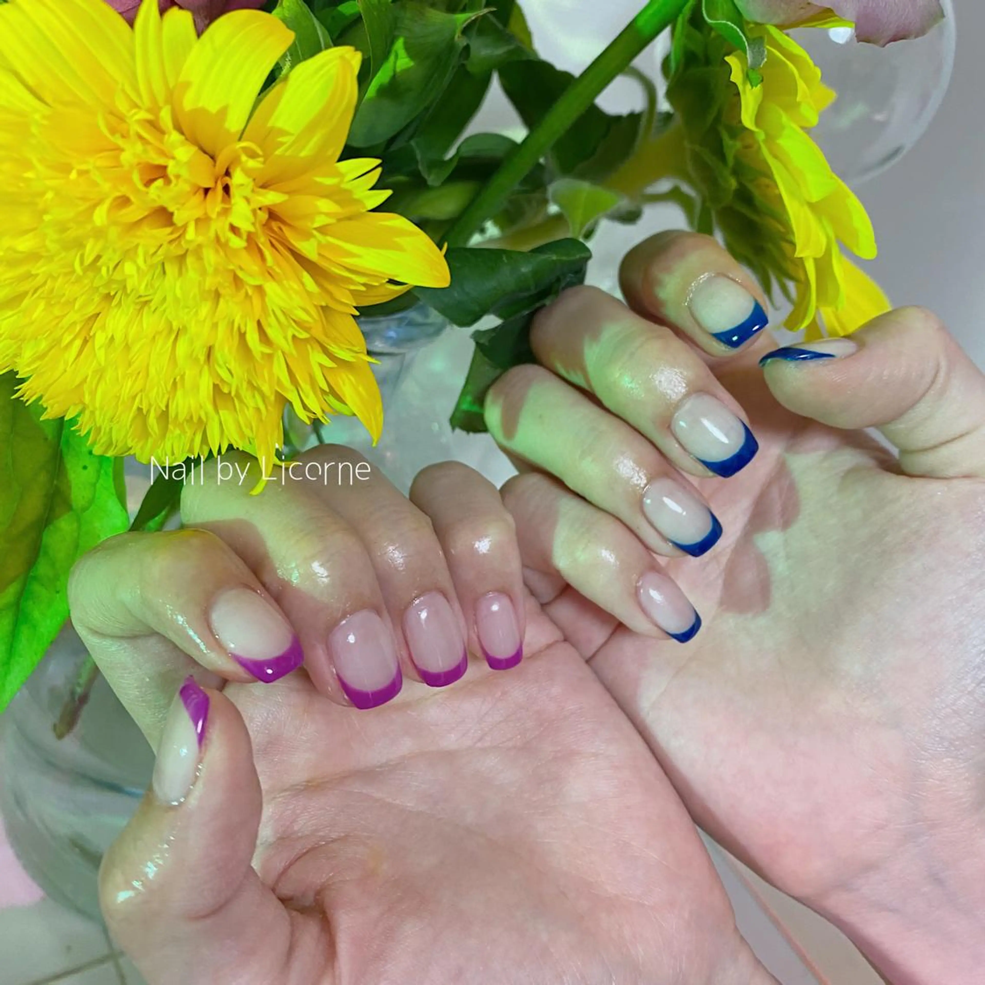 🐬オフなし【FRENCH or GRADATION COURSE】フレンチ、カラグラの写真