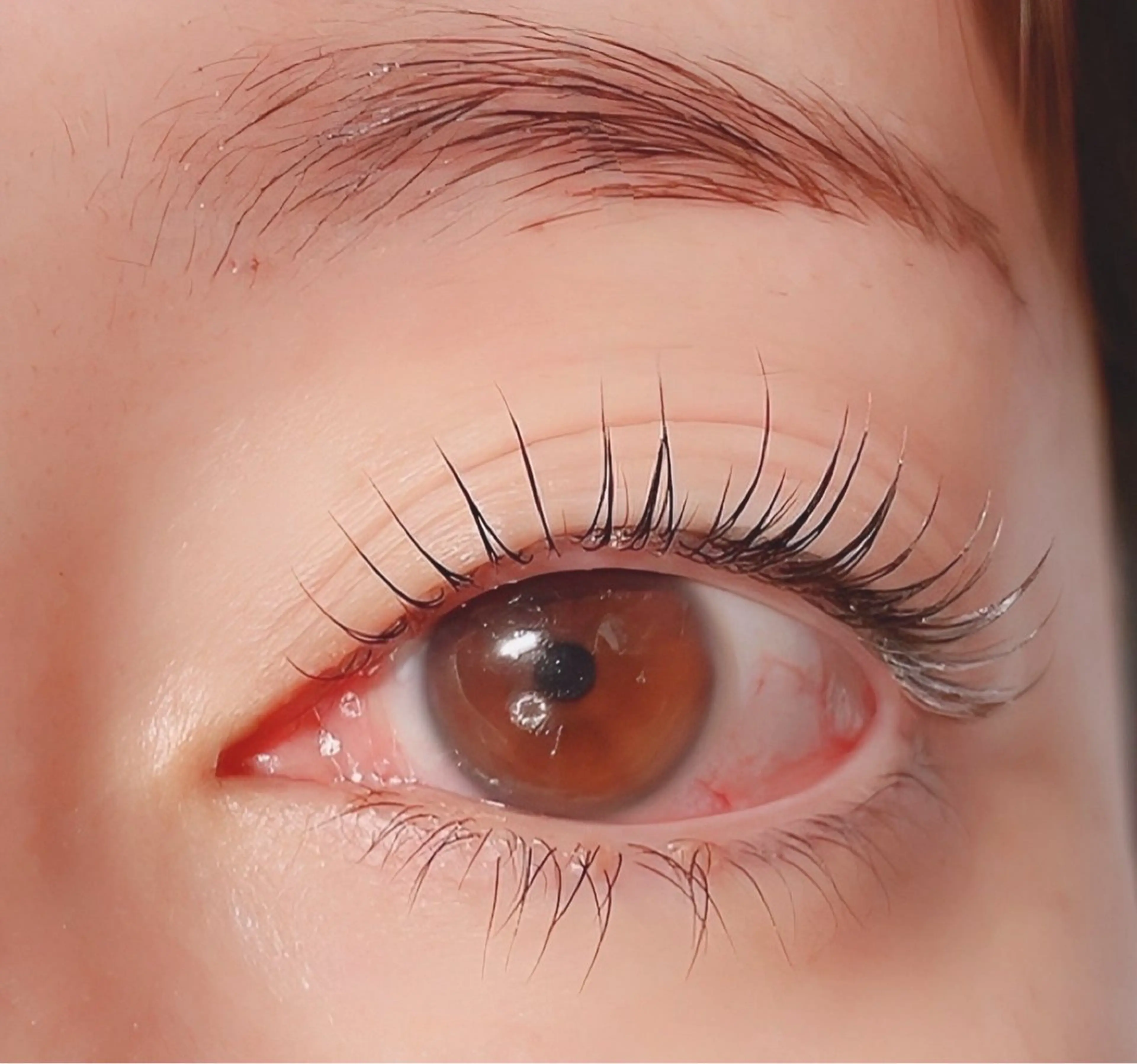 ✨️パーマを繰り返したまつ毛に✨️まつ毛パーマ+2stepトリートメントの写真