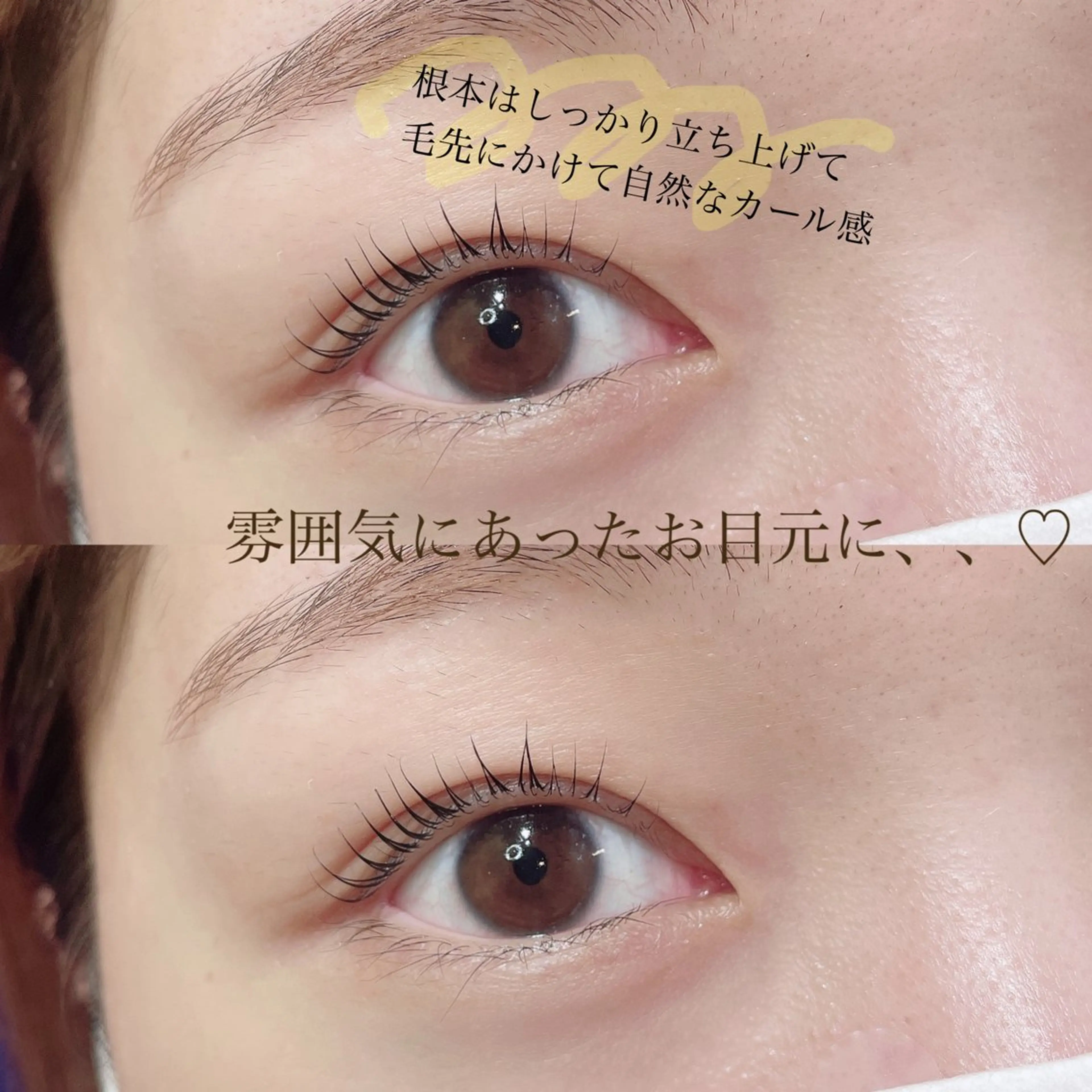 マツエク・マツパ まつげパーマ マツパ SEALA 高石店所属・SEALA 高石の眉毛・アイブロウイメージ