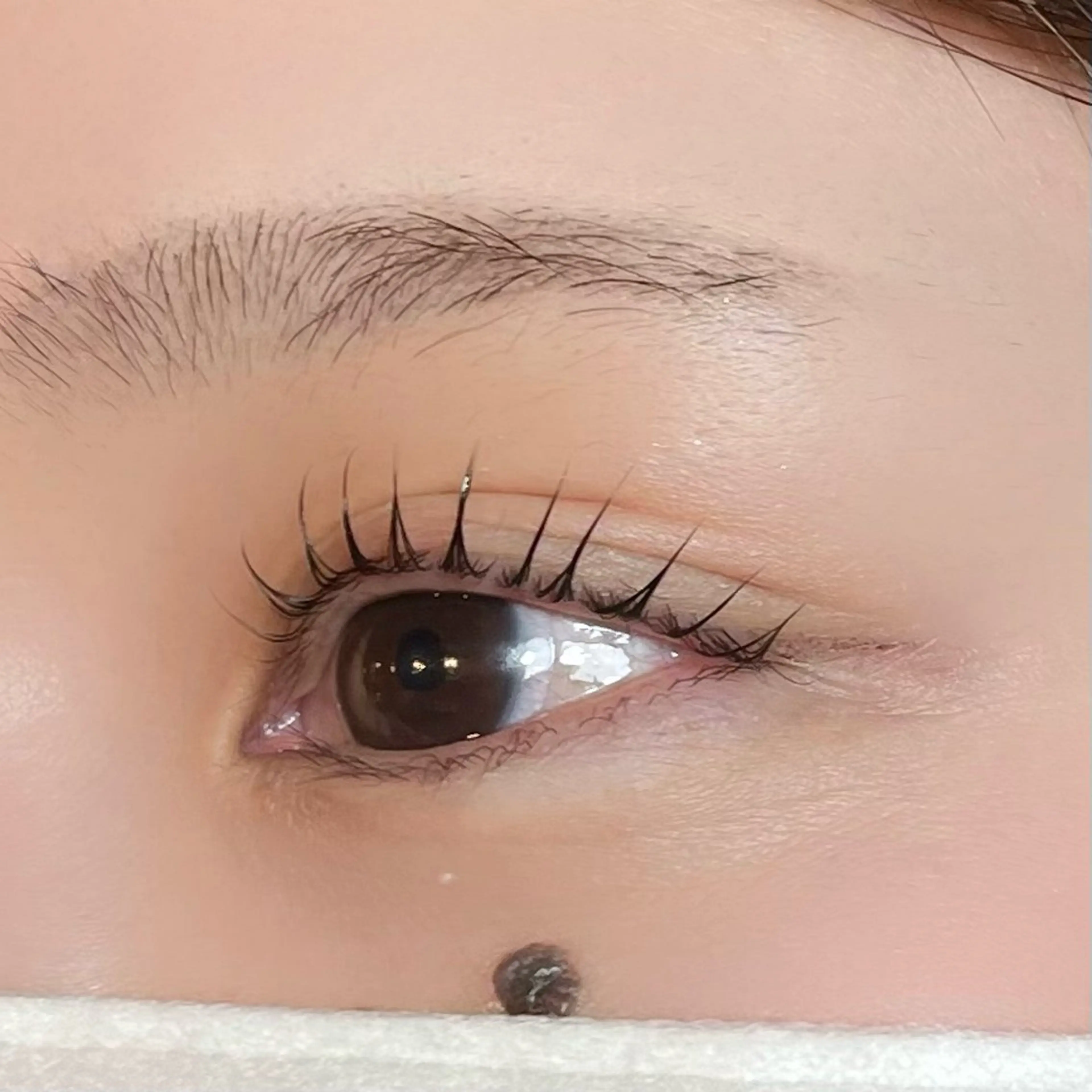 マツエク・マツパ パリジェンヌラッシュリフト マツパ 🩵HARUHI 京都Two🩵のマツエク・マツパデザイン