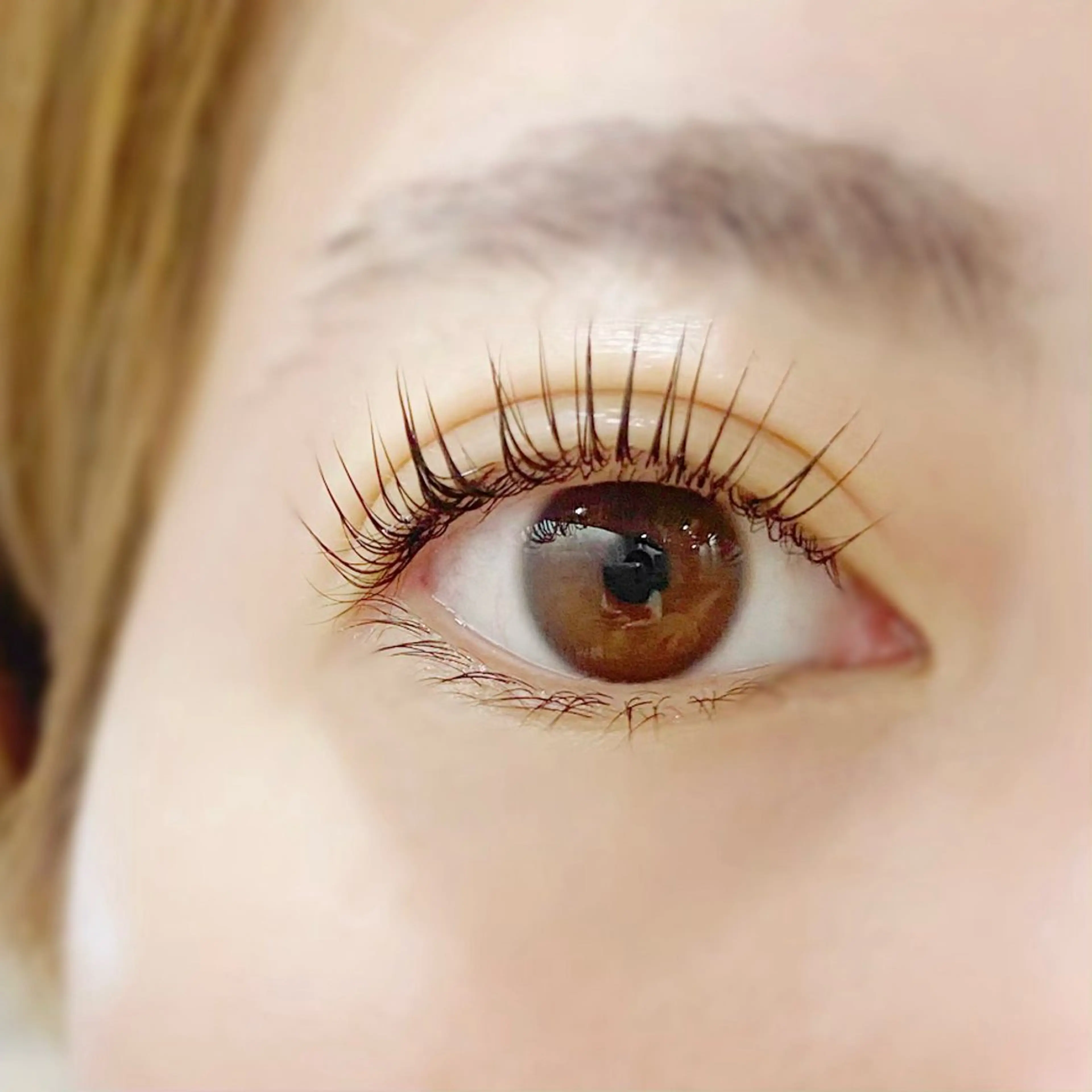 マツエク・マツパ マツパ 🐠DIAMOND EYES店長🏝️堤の眉毛・アイブロウイメージ