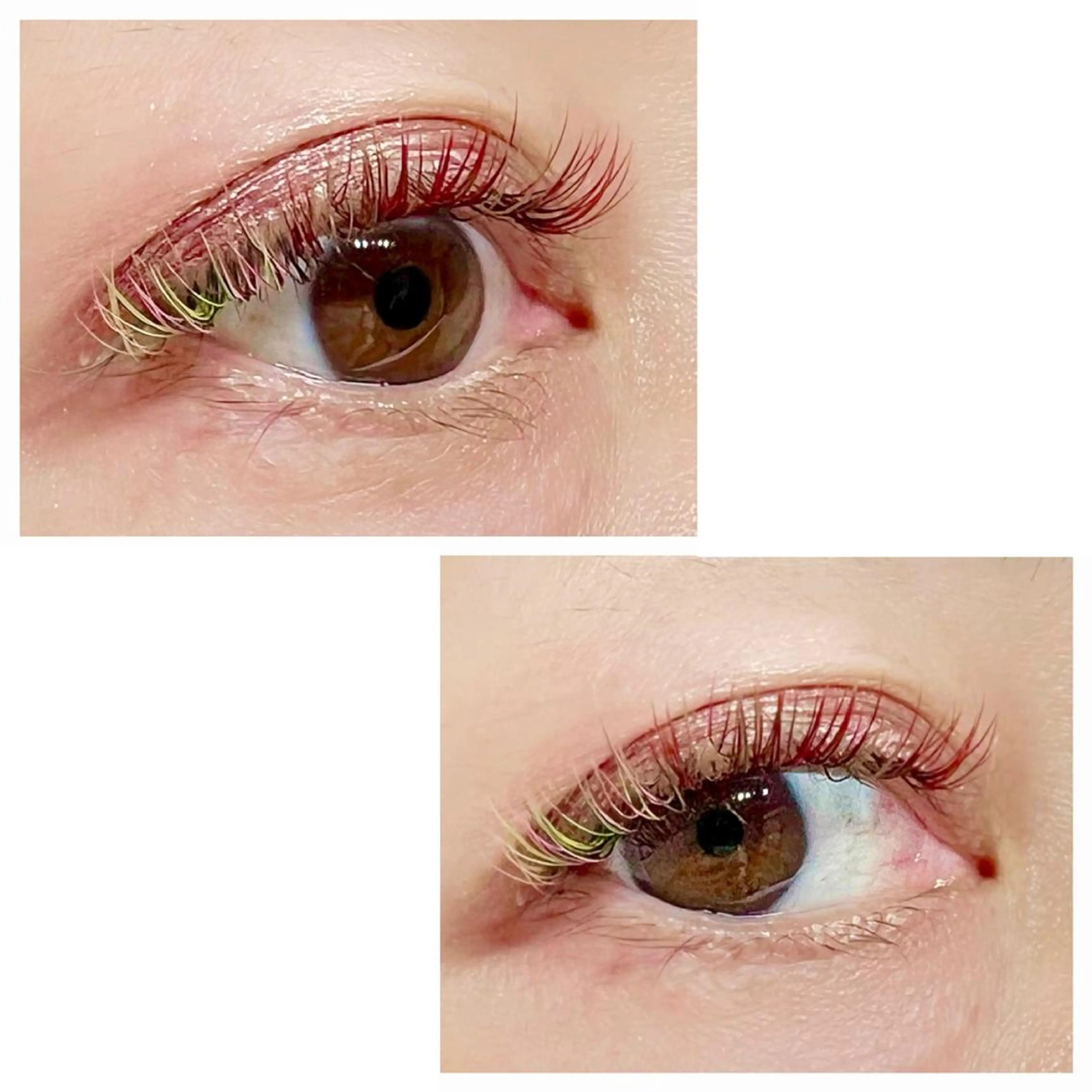 マツエク・マツパ 付け放題 カラーマツエク マツエク Adorer(アドレ)所属・Adorer 🍀アドレ🍀のマツエク・マツパデザイン